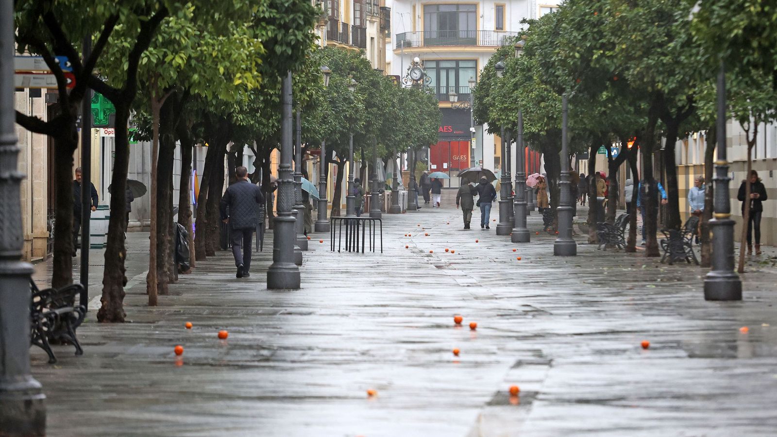 Imágenes del paso de la borrasca Kristin por el centro de Jerez