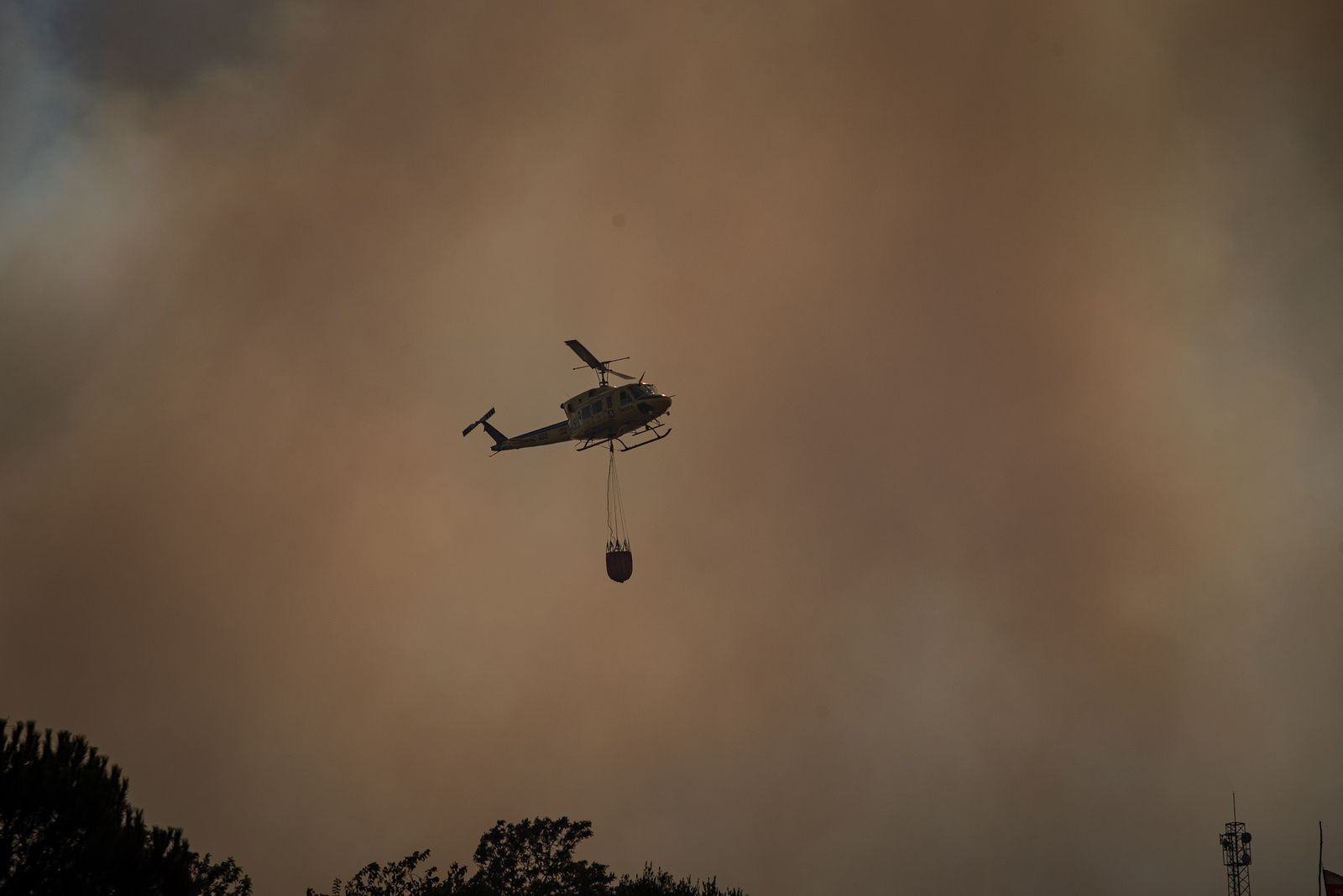 El incendio de Lucena del Puerto en imágenes