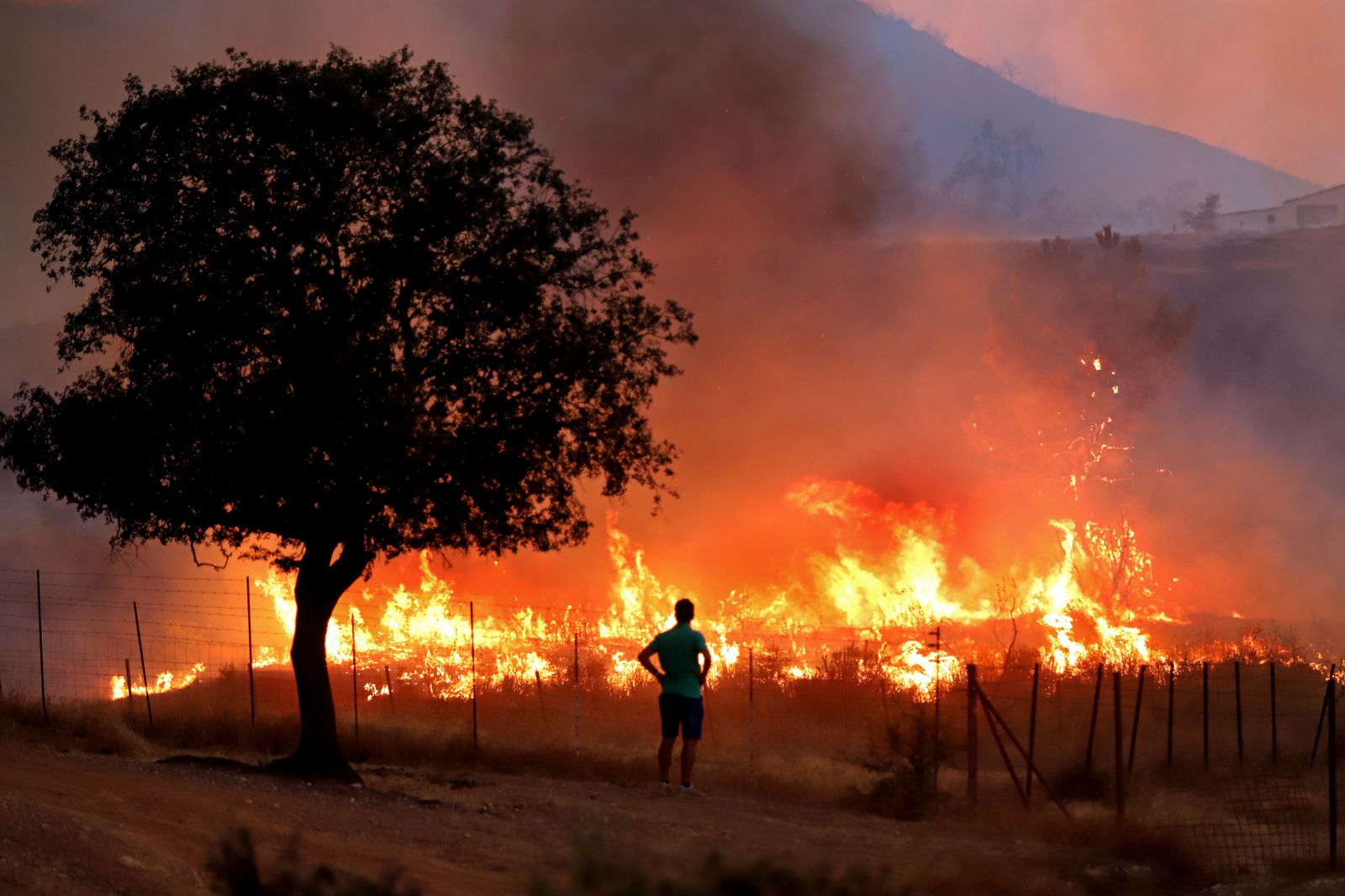 Imágenes del incendio en Almonaster La Real