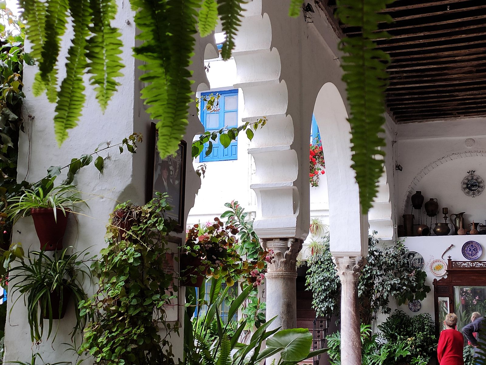 Los Patios  de Córdoba en tiempos de crisis: Siete Revueltas, 1