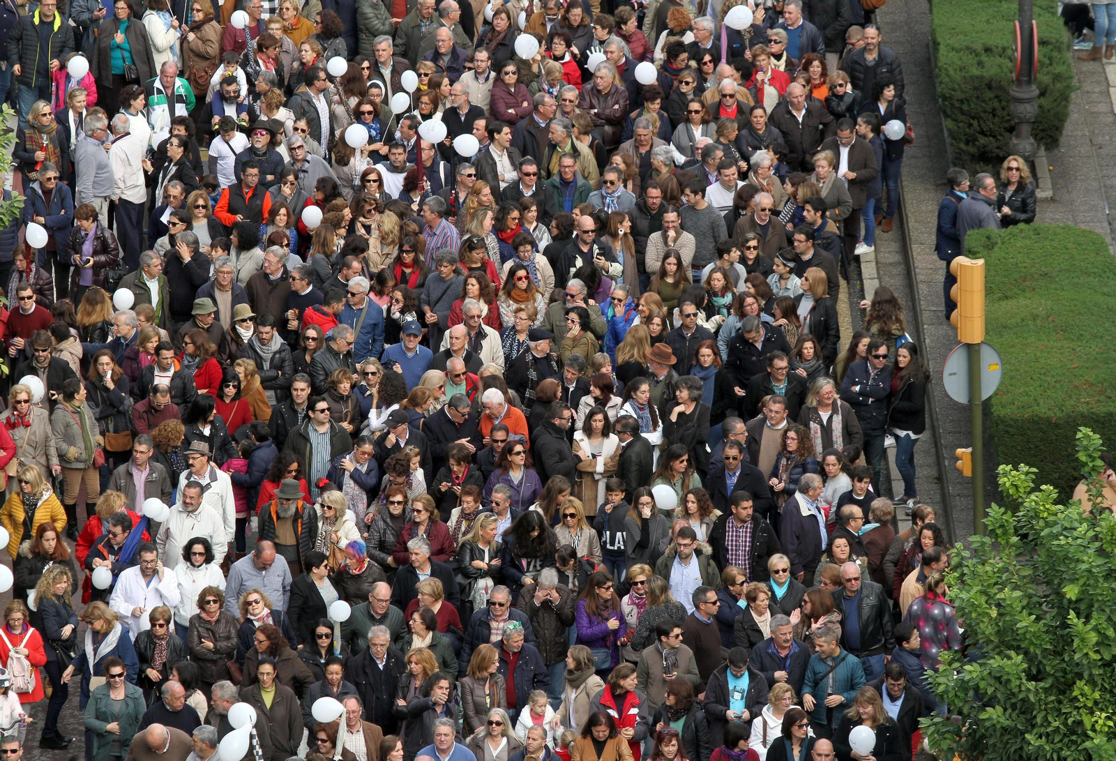Manifestación por una sanidad pública digna