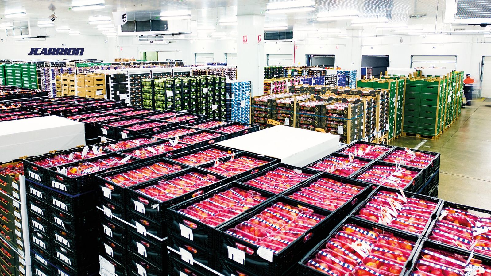 Destino a mercados europeos: Centro de consolidación en Barcelona.