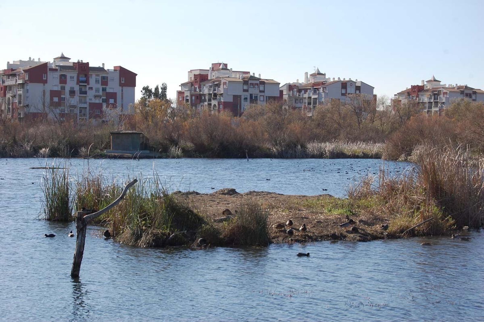 La Charca de Suárez