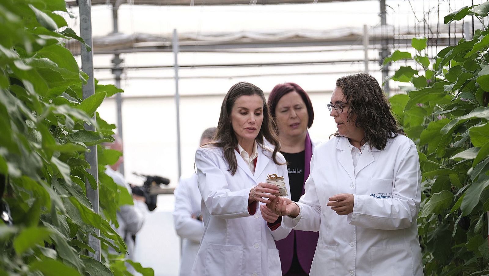 La visita de la reina Letizia a El Ejido, en imágenes