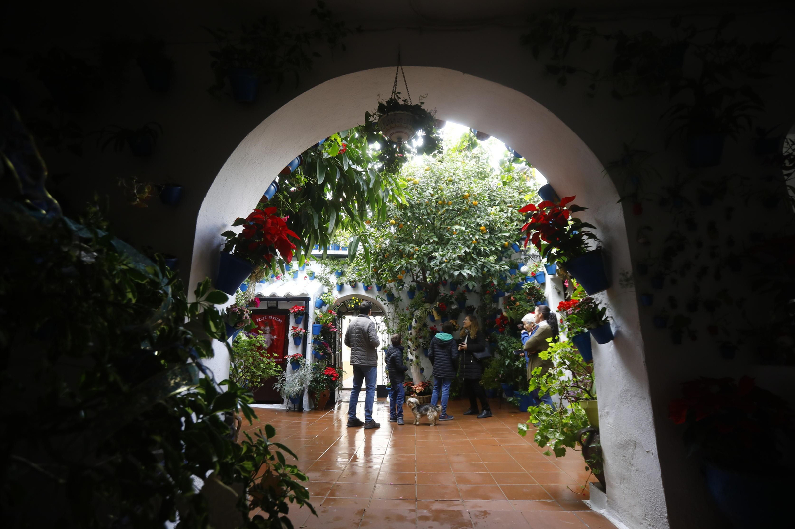 Visitantes en Tinte, 9