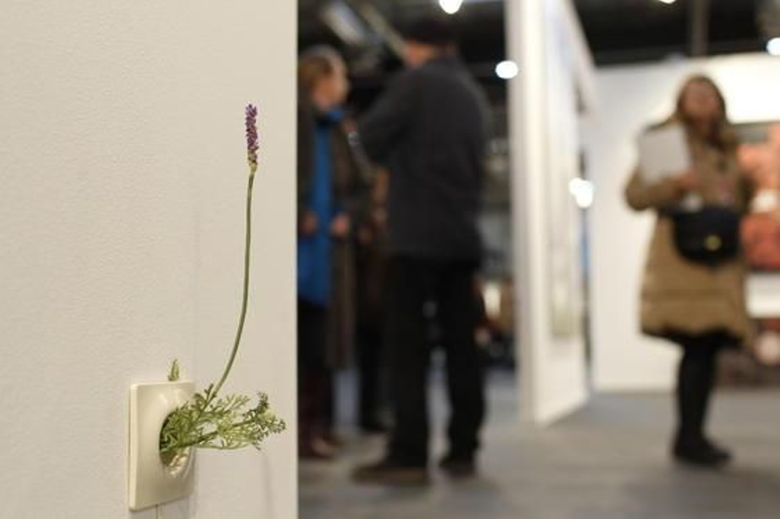 Reportaje gráfico: José Ramón Ladra.