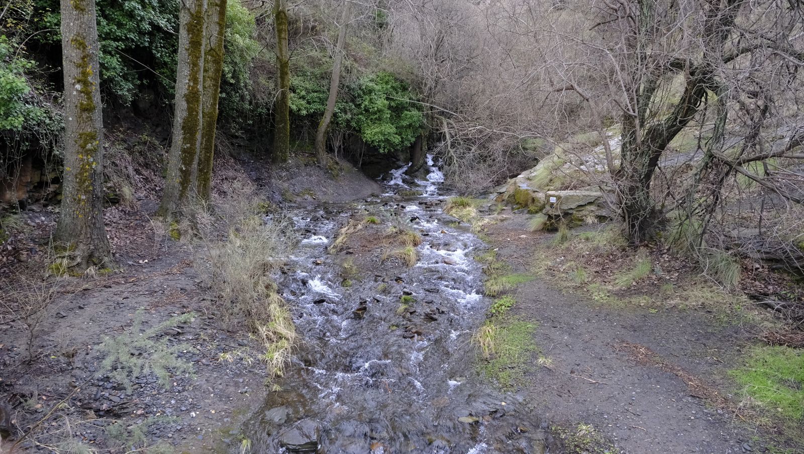 Imágenes del temporal de nieve en la provincia de Almería.