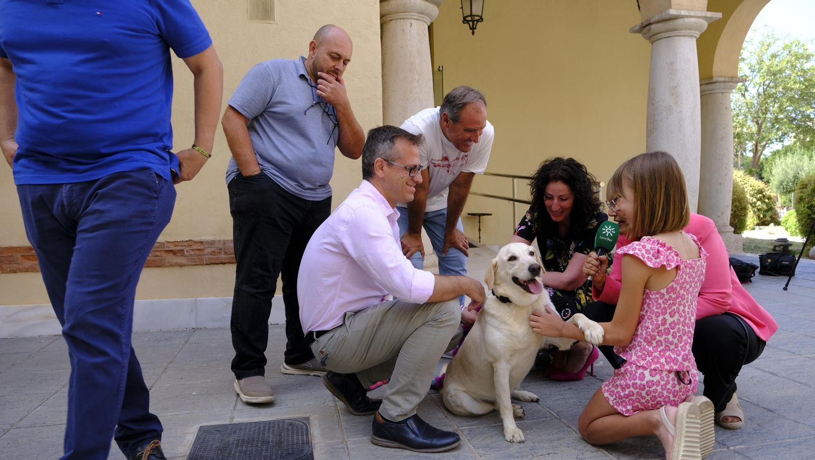 Aria, una perra adoptada, Campeona de España de búsqueda y marcaje de objetos, en imágenes