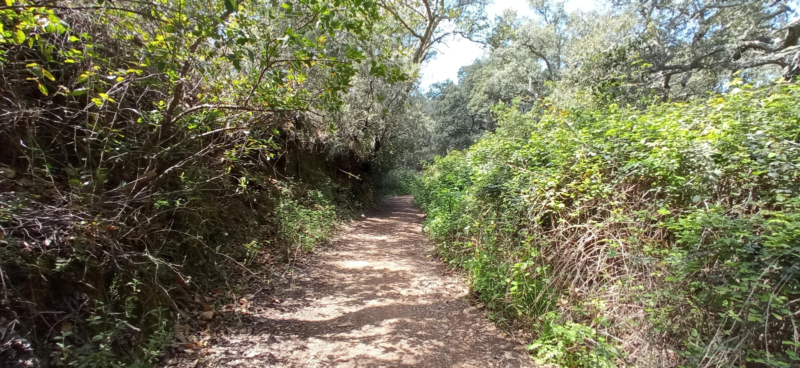 Las imágenes de la ruta de las casas de los Tres Cerditos