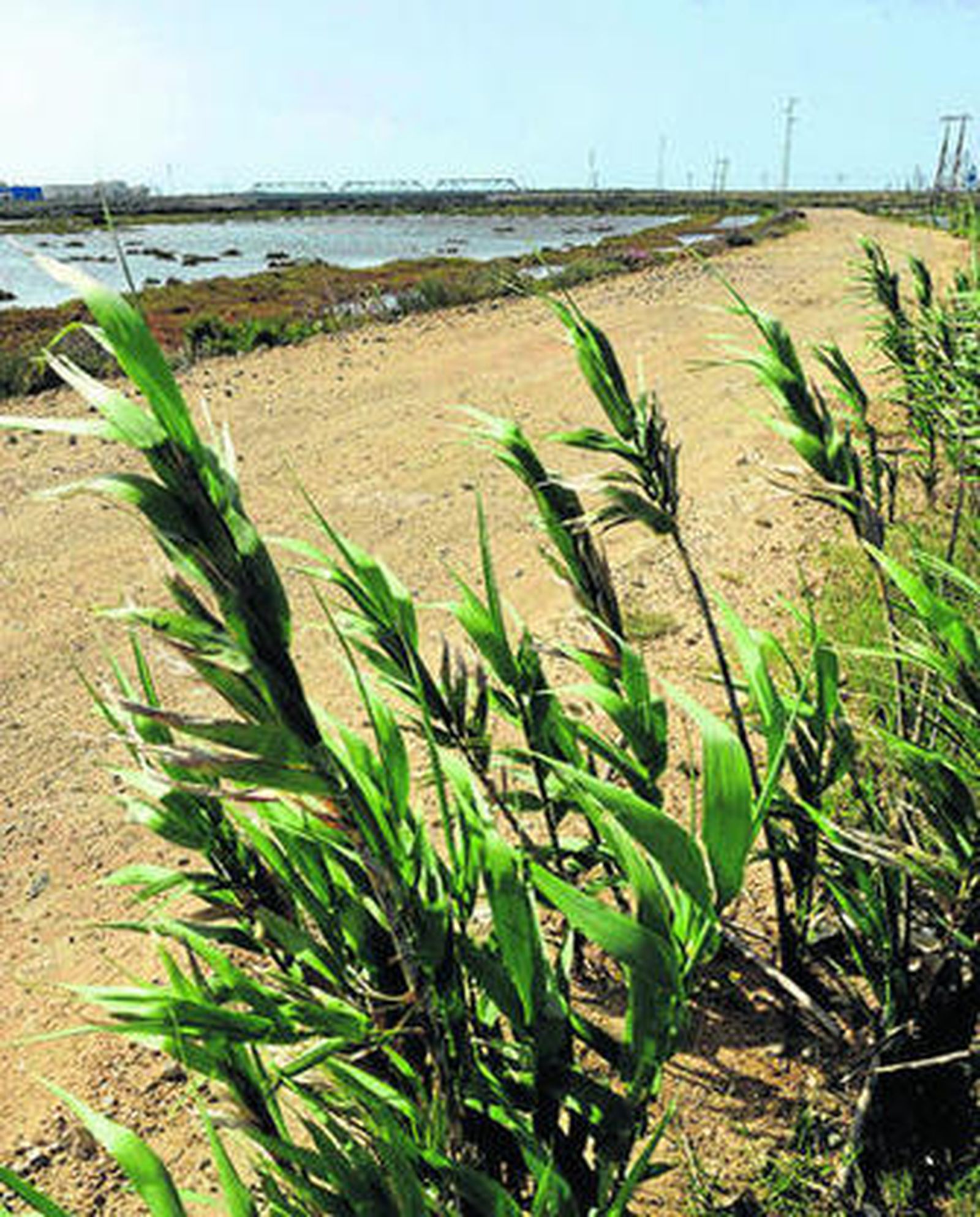 Carril de servicio habilitado en la zona en la que se reclama la carretera.