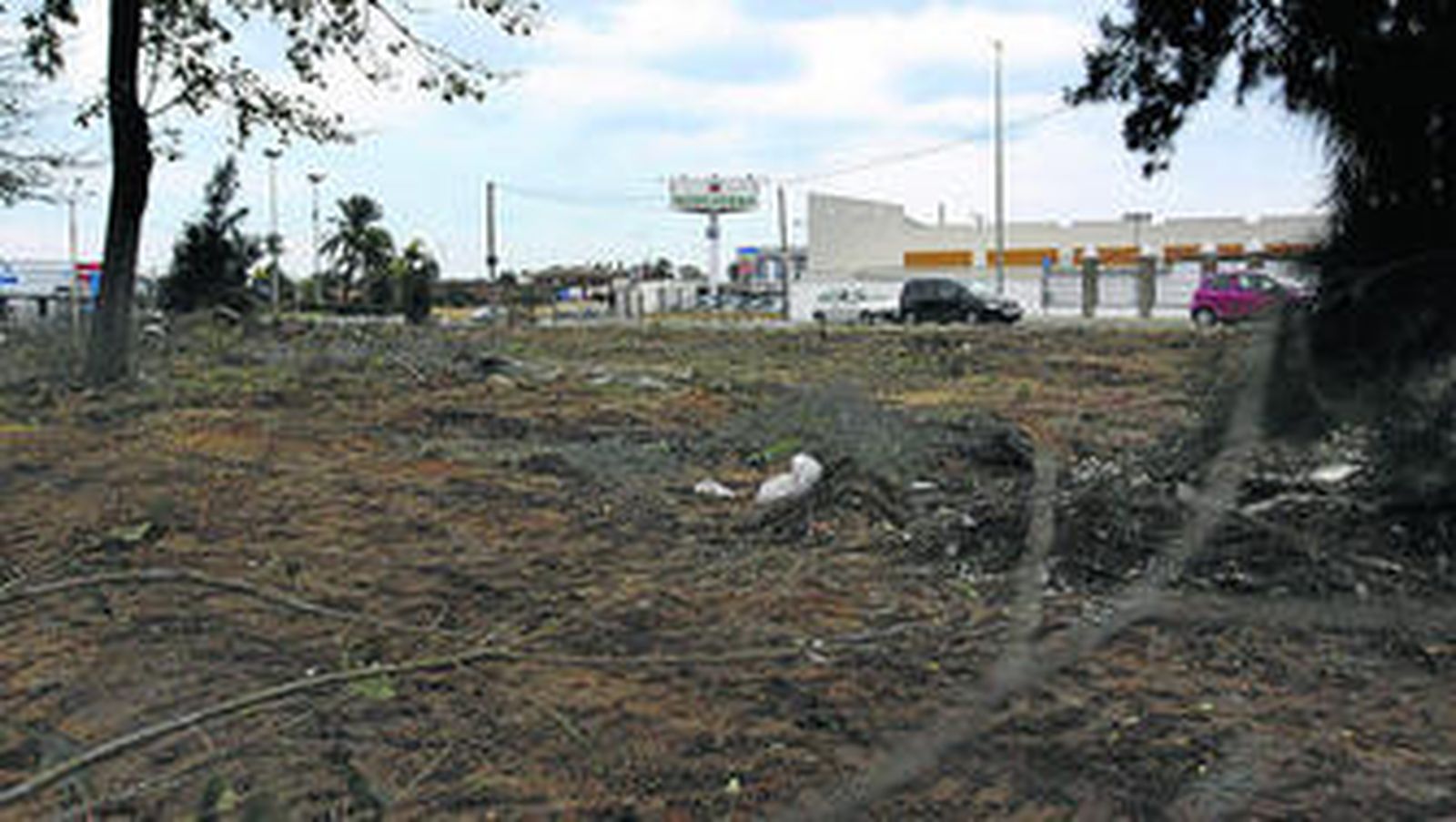 Las excavadoras ya han retirado matorrales y limpian la zona. Al fondo, se divisa el supermercado Mercadona.