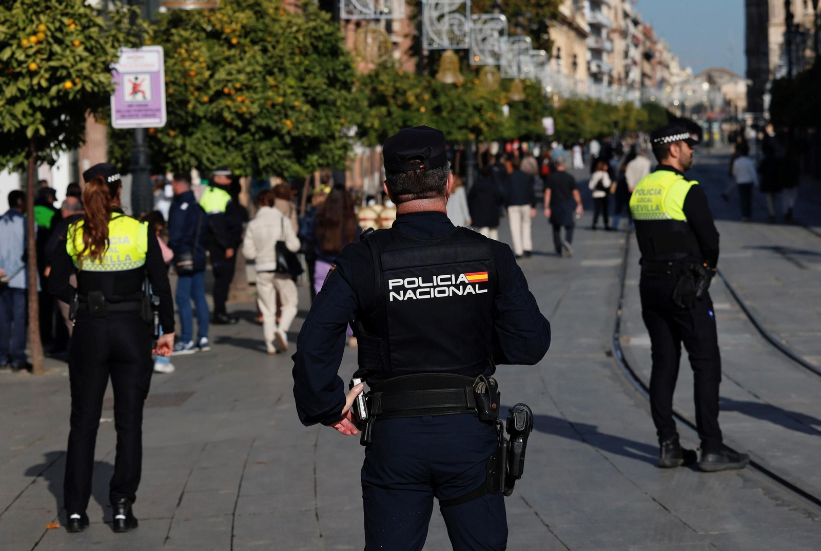 La Policía ha logrado detener al autor del robo