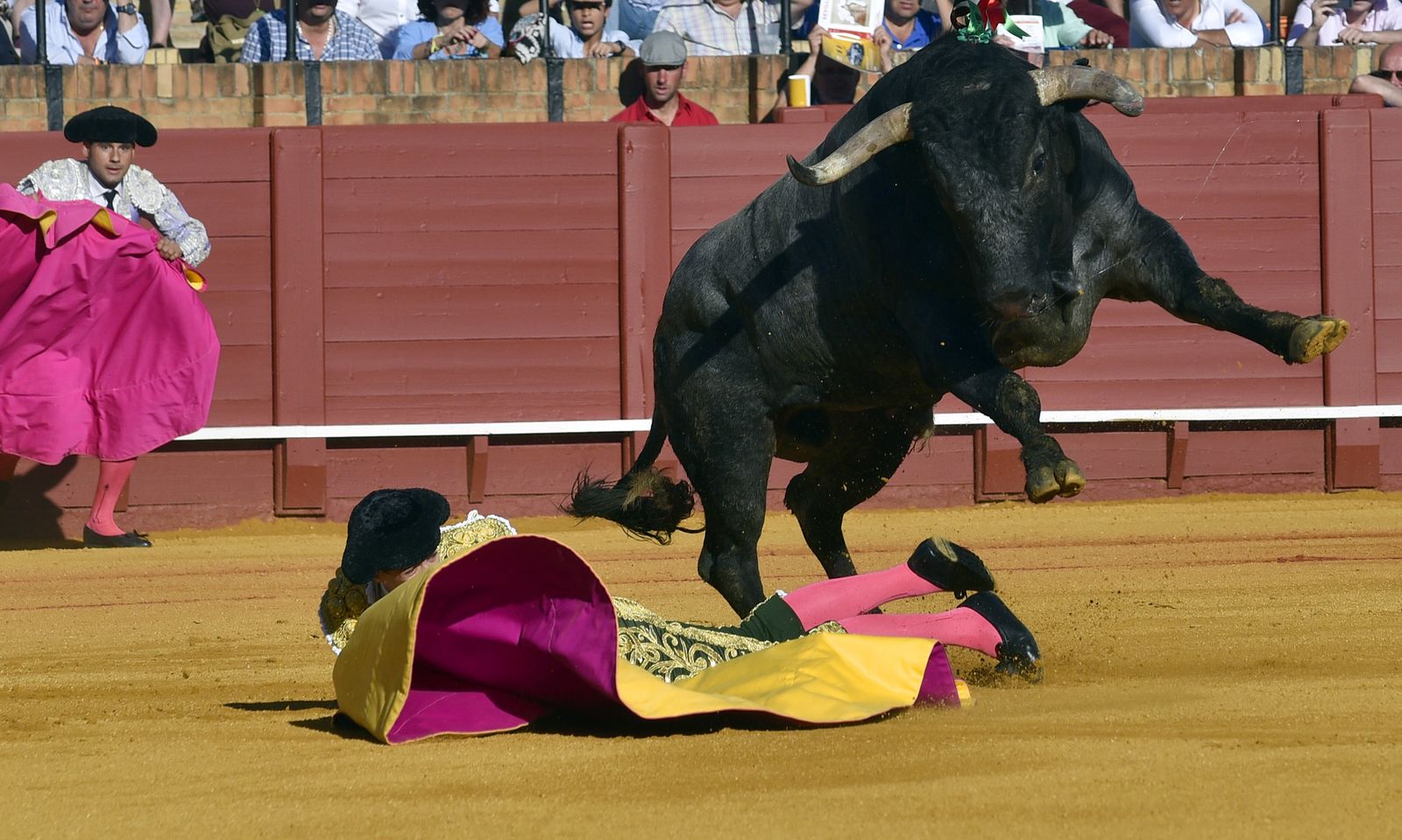 La 14ª de abono en la Real Maestranza de Sevilla, en imágenes