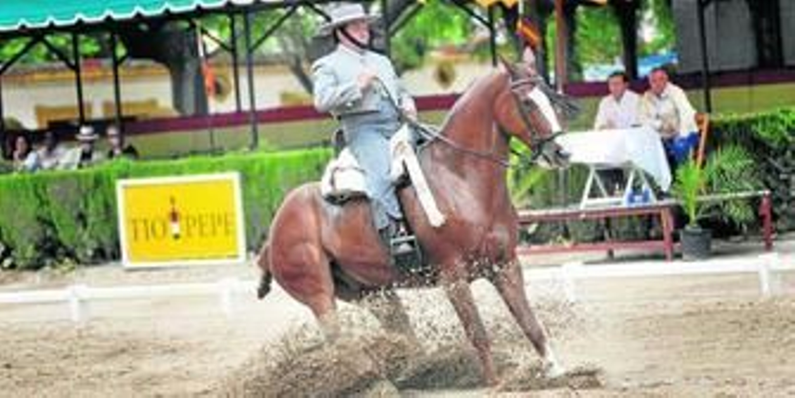 Una parada a raya, en el espectáculo de doma vaquera ayer en Sementales. Una parada a raya, en el espectáculo de doma vaquera ayer en Sementales.