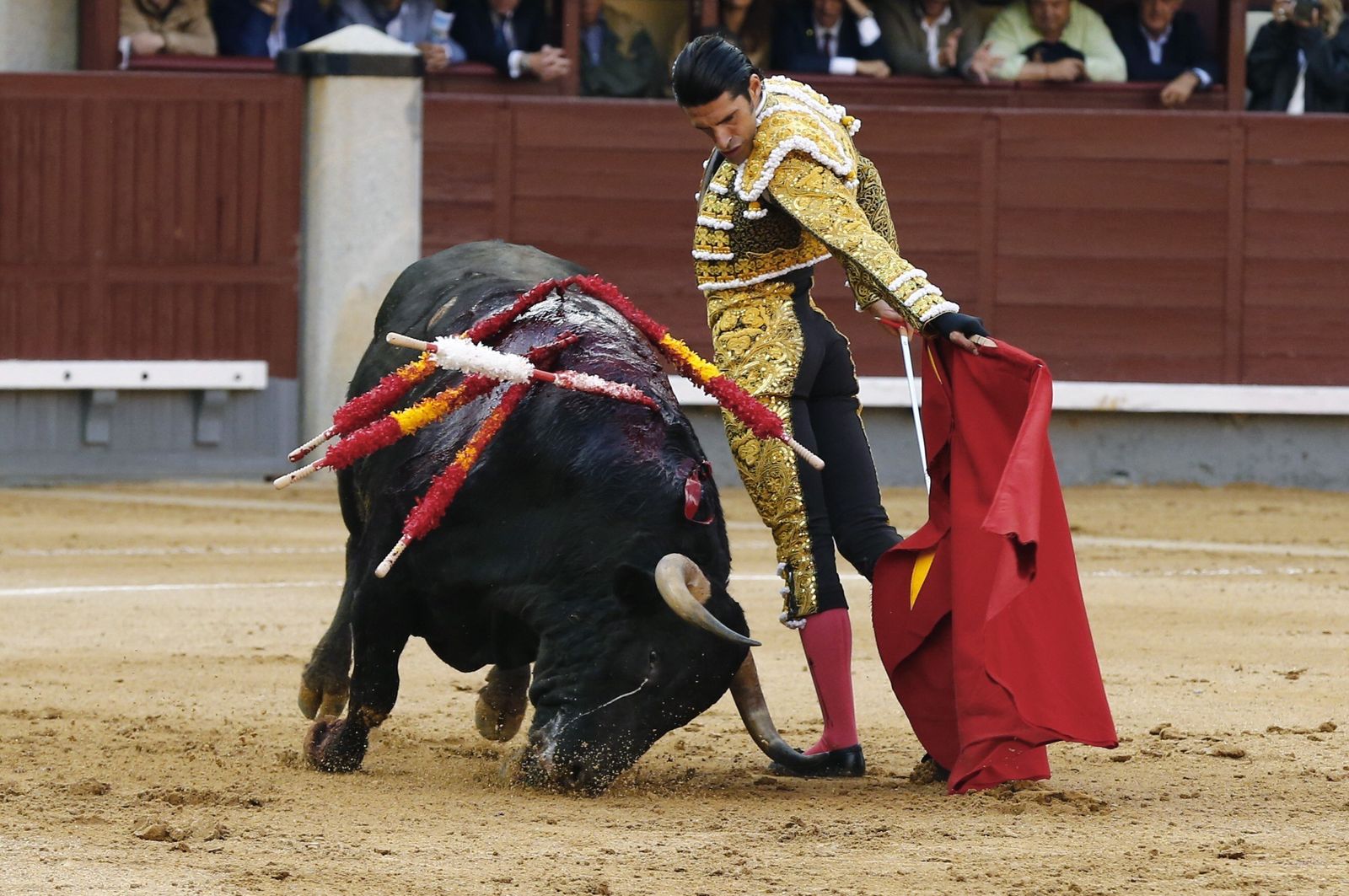 Alejandro Talavante, en un precioso natural al segundo toro de Núñez del Cuvillo, al que desorejó.