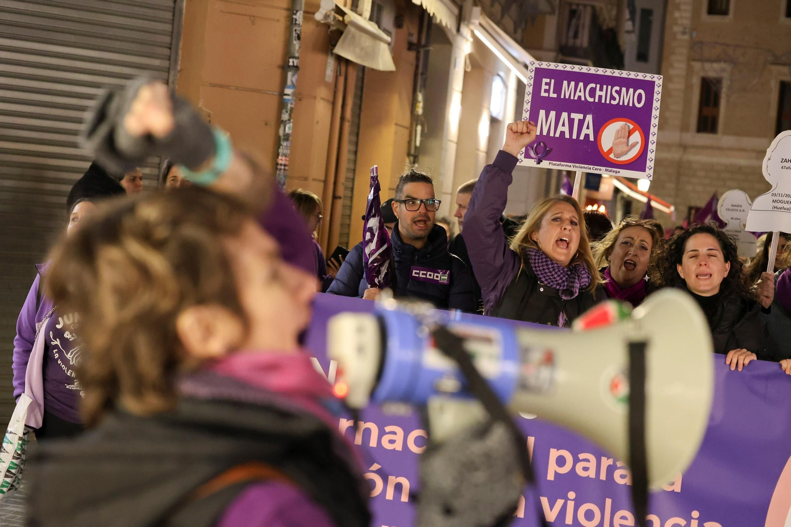 La manifestación del 25N en Málaga, en imágenes