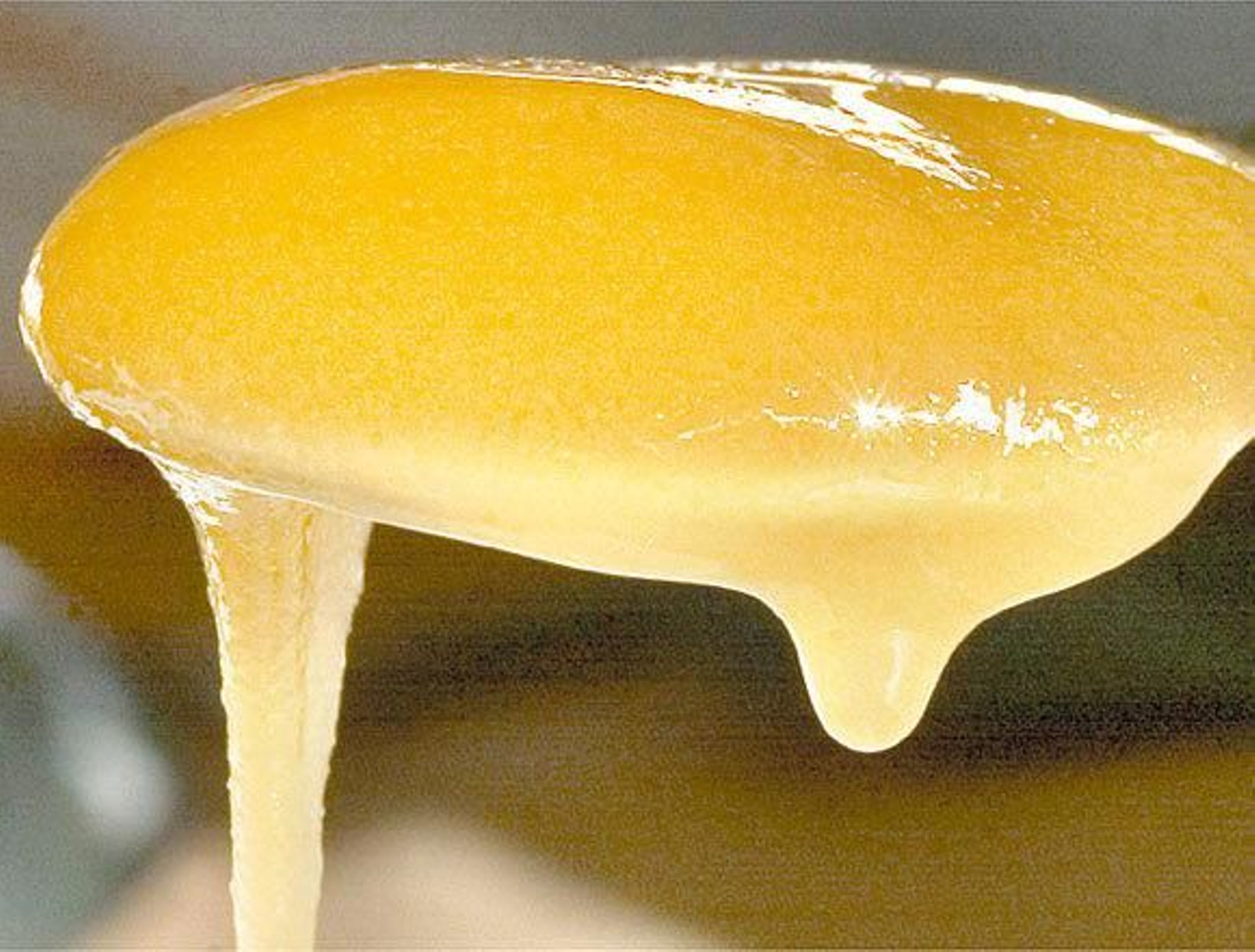 ‘Miel de Granada’, un sabor mediterráneo incomparable