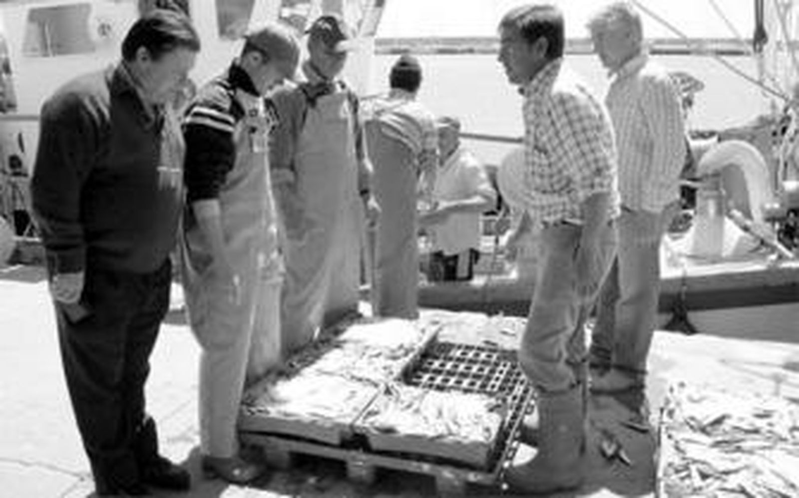 Varios pescadores de una de las traíñas de Barbate descargan el pescado capturado en Marruecos.