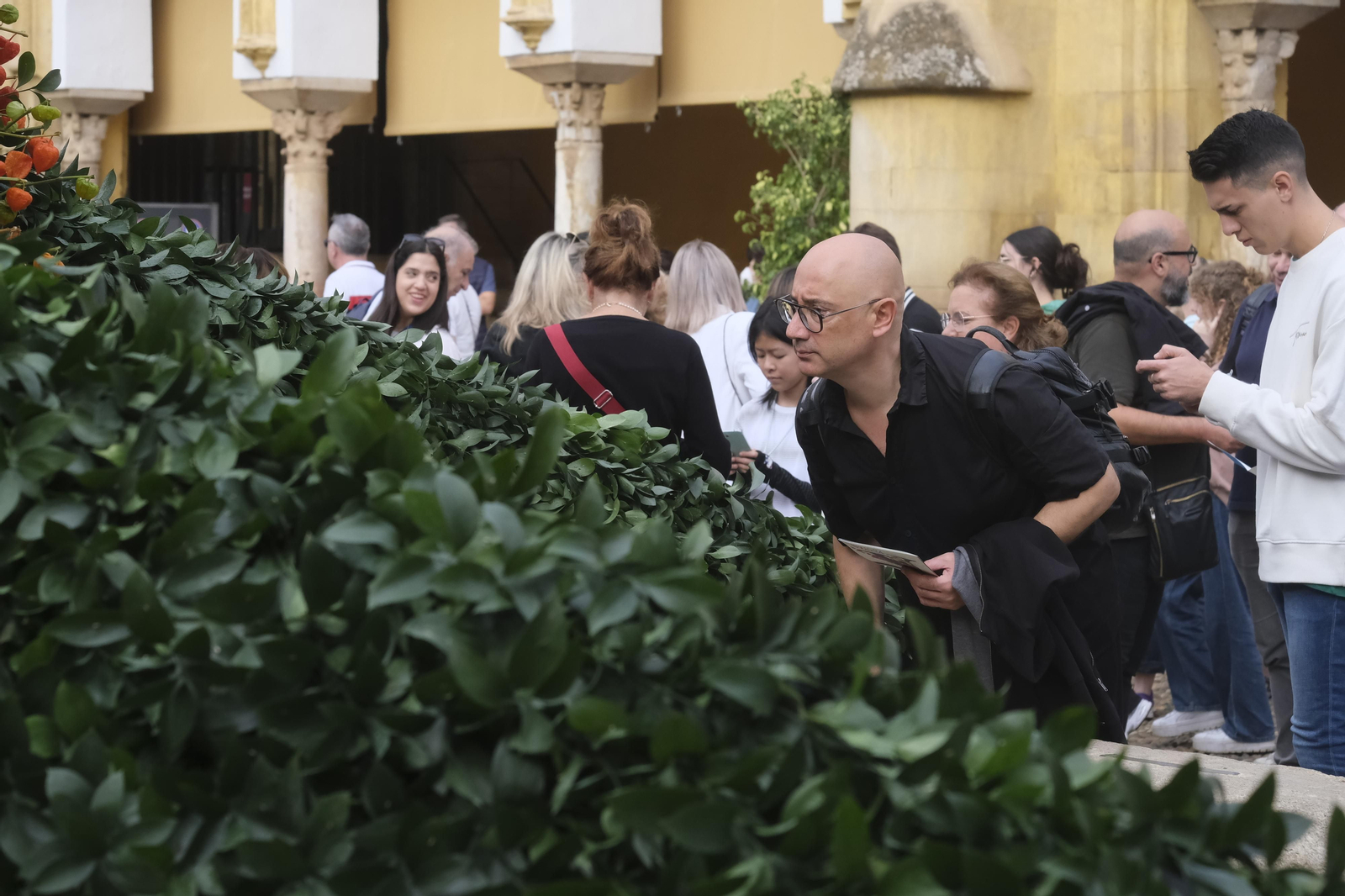 Un recorrido por los patios del Festival Flora 2022 de Córdoba, en imágenes