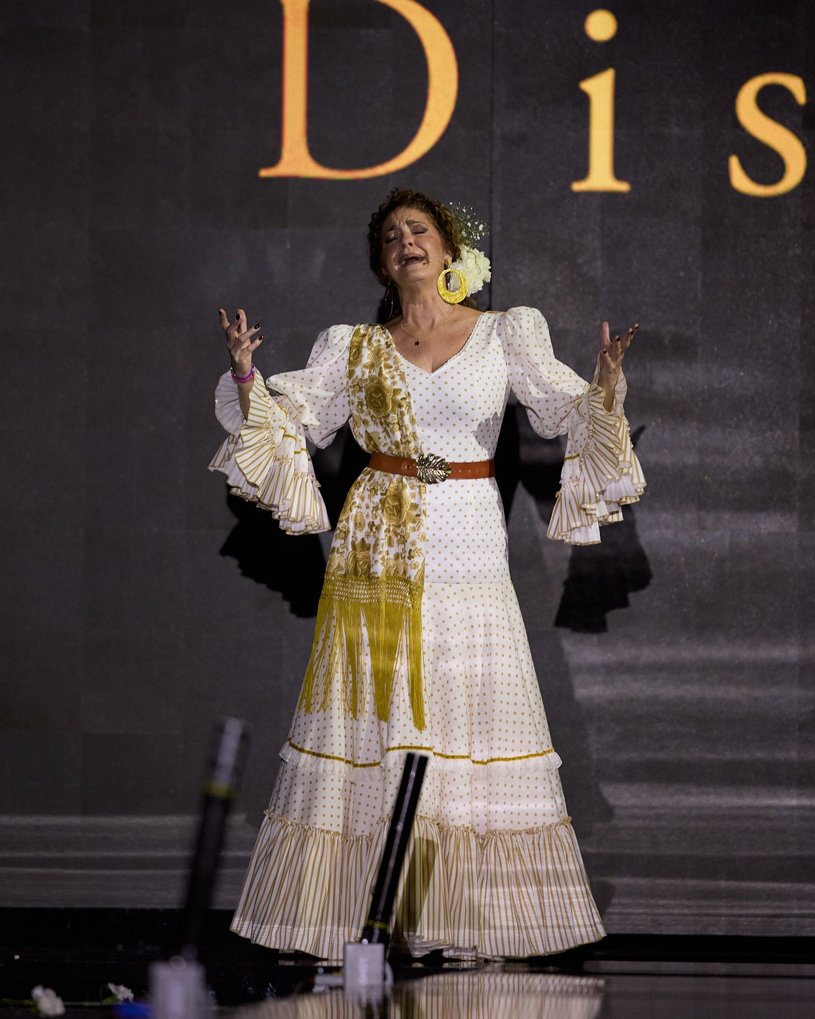 El desfile de Pilar Rubio en Simof 2026, todas las fotos