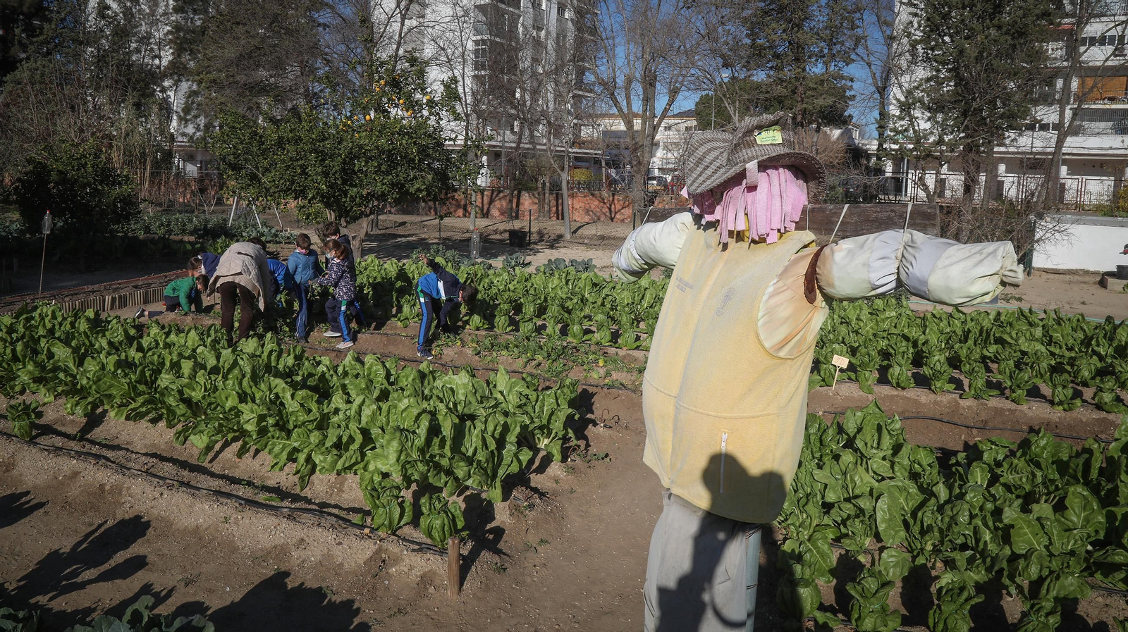Huerto ecológico y educativo en Los Marianistas