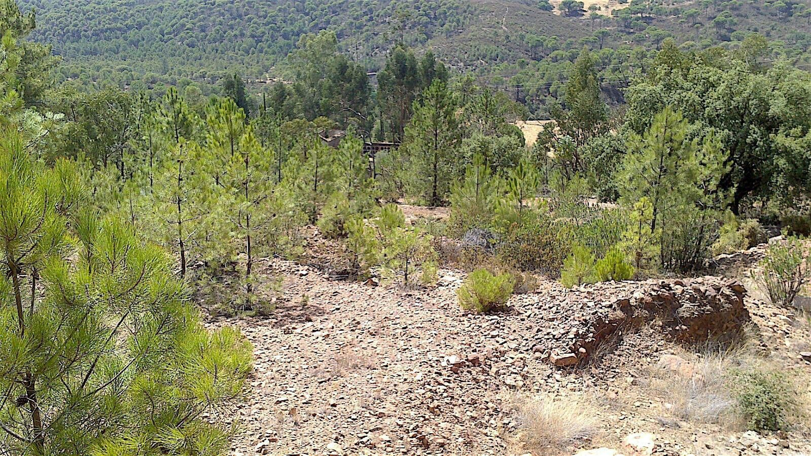 La infraestructura se ubicará en el término municipal de Minas de Riotinto, en los aledaños del antiguo cementerio de La Naya.
