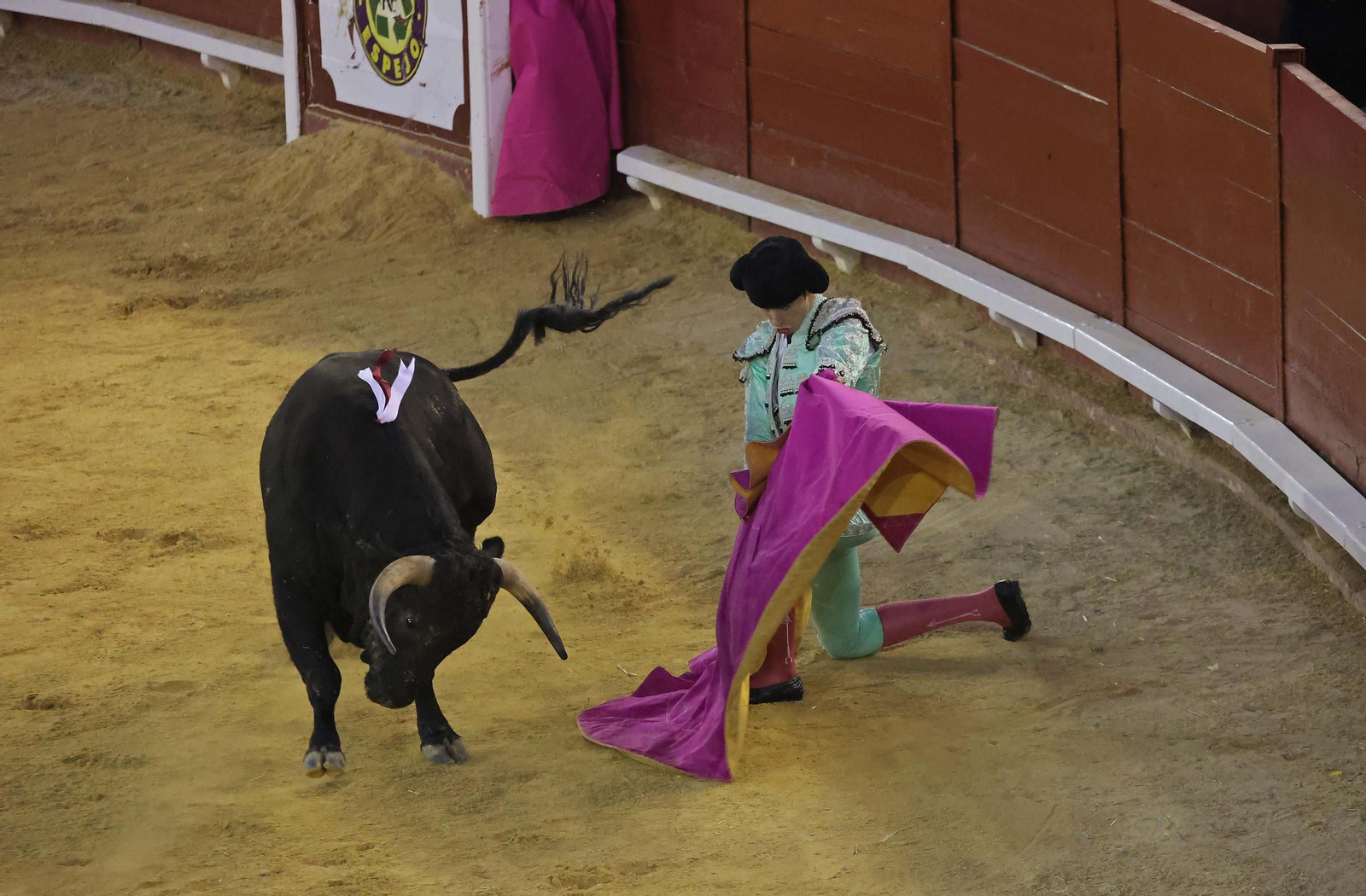 Fotos de la novillada sin picadores del miércoles de la Feria Real de Algeciras 2025