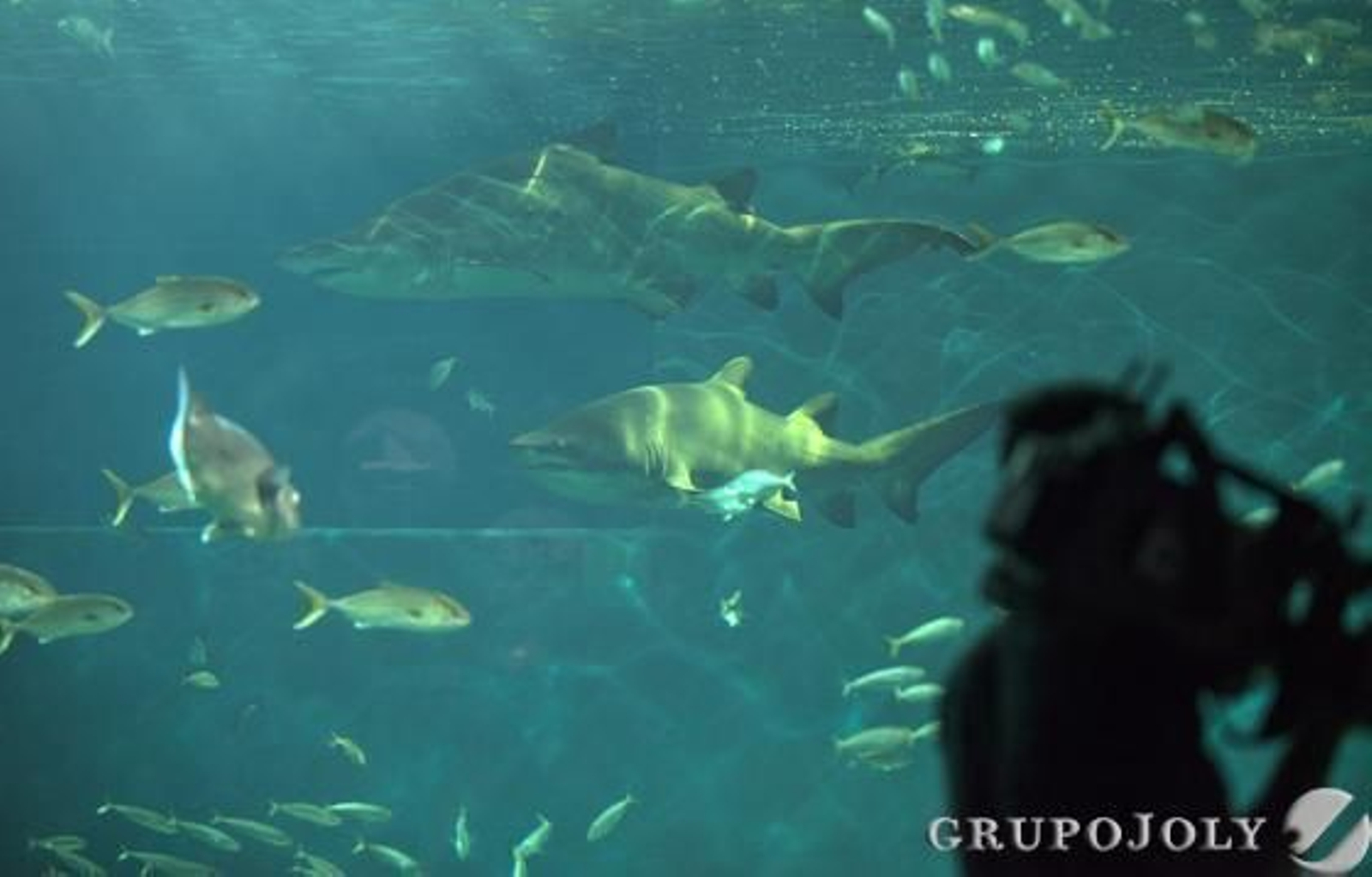 Foto: Antonio Pizarro