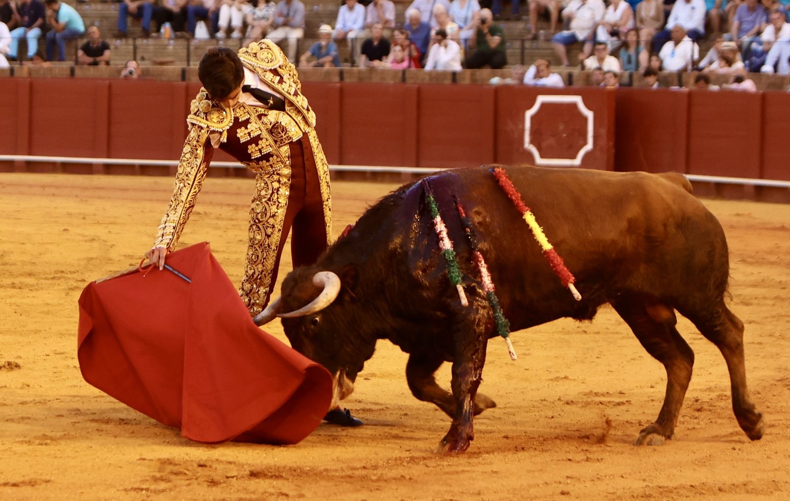 Novillada El Melli, Aarón Palacios y Manuel Jesús  Carrión