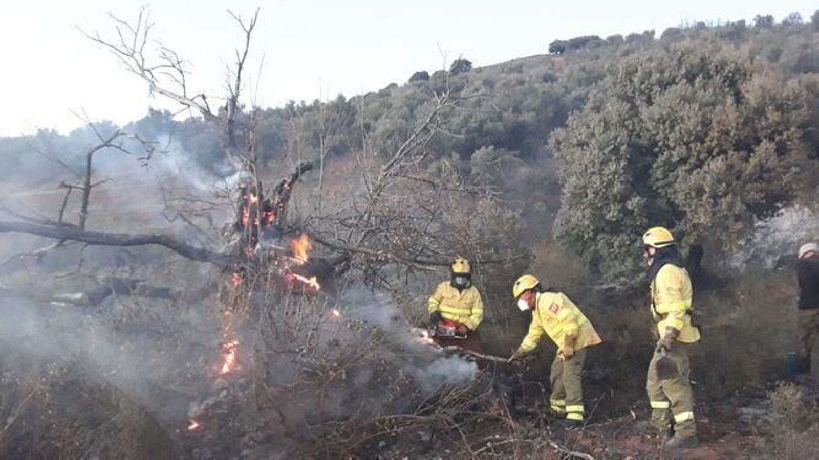 Efectivos del Plan Infoca durante la extinción de un incendio. Efectivos del Plan Infoca durante la extinción de un incendio.