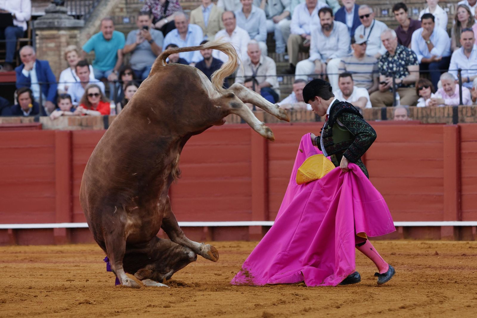 Las imágenes de la Novillada