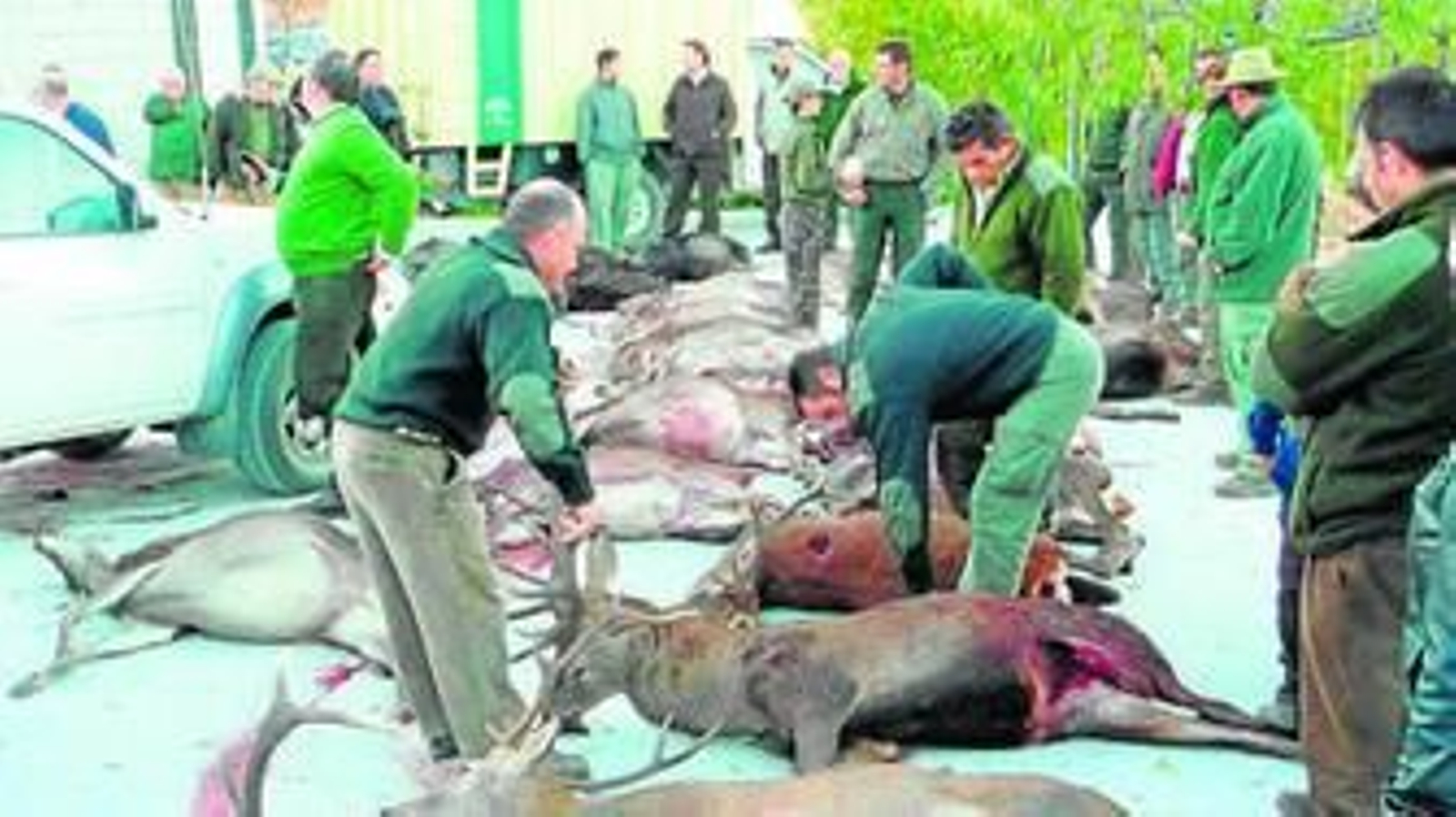 Cacería celebrada en la sierra de Bacares.