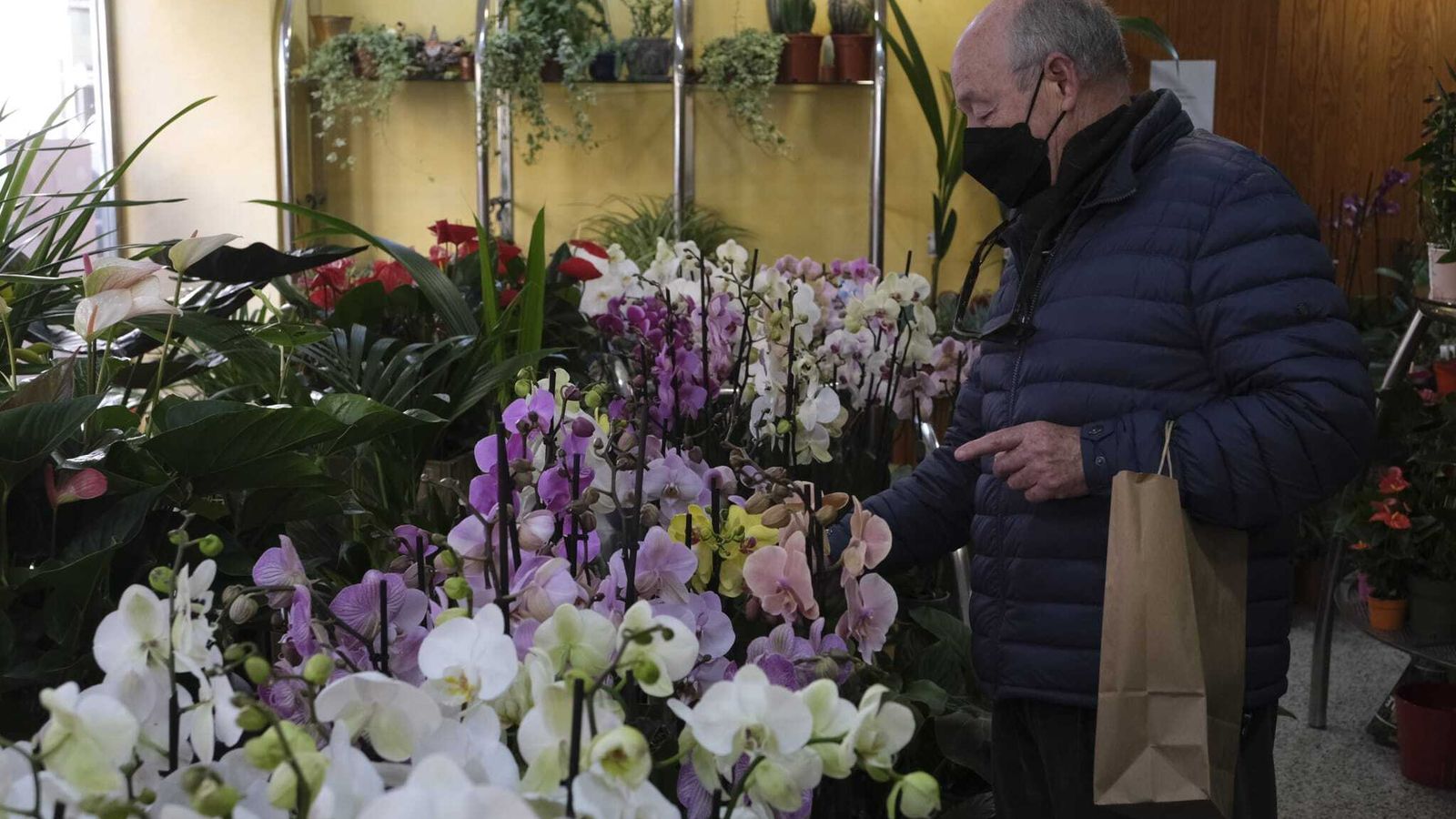 Dispone de infinidad de tipos de cactus, ficus, hoyas, yucas, clivias, tulipas… Y, por supuesto, las orquídeas, una de las especialidades de la compañía.
