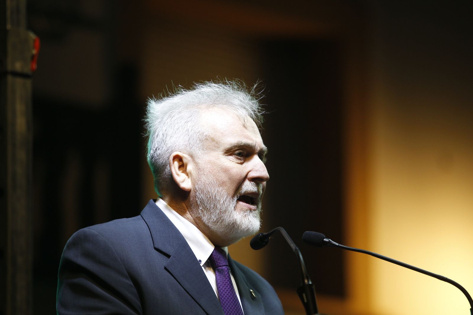 Fotogalería VII Día de la Comarca del Bajo Andarax