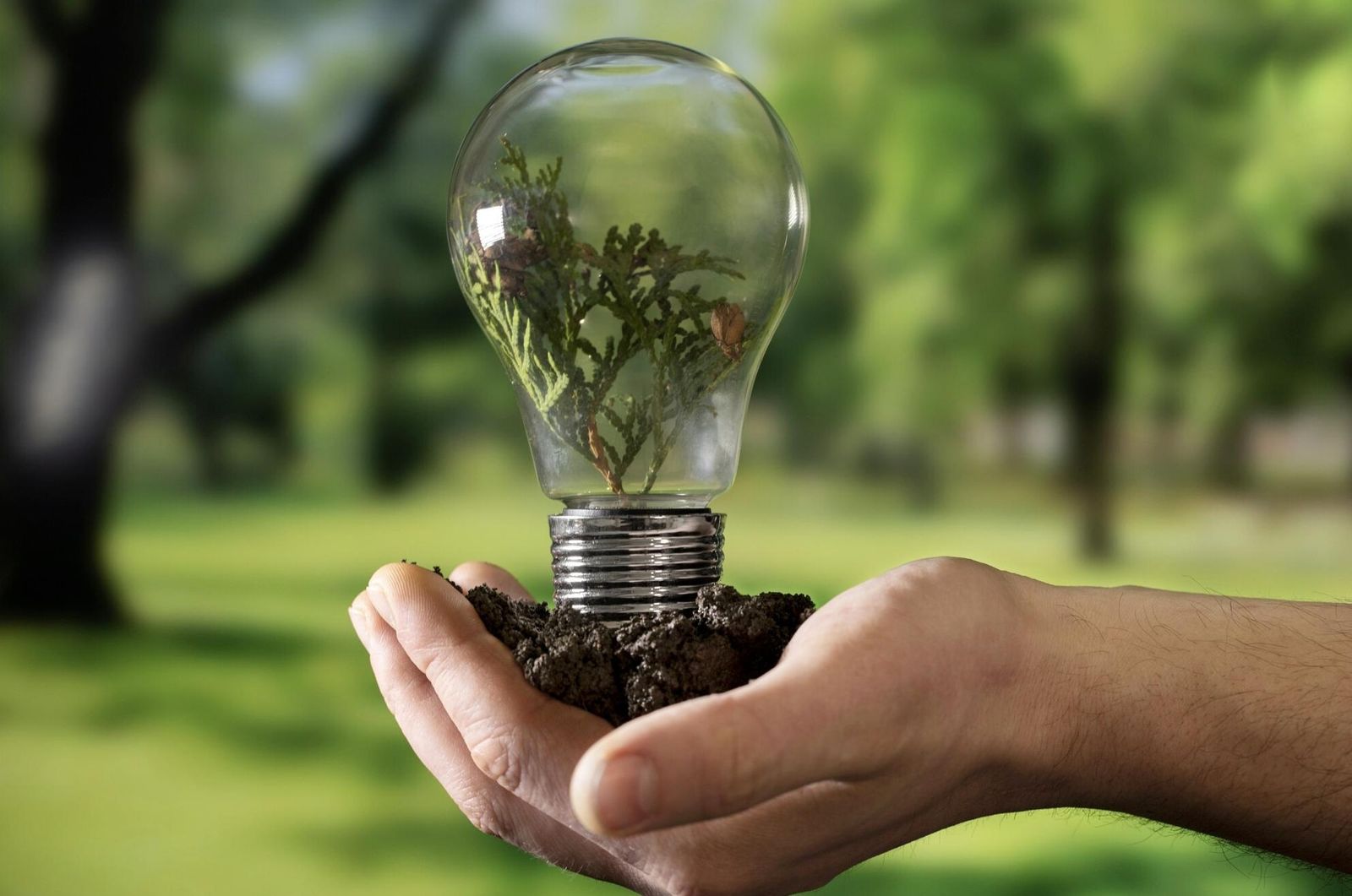 Grupo Acerca destaca como defensores del medio ambiente y del bienestar de la sociedad.