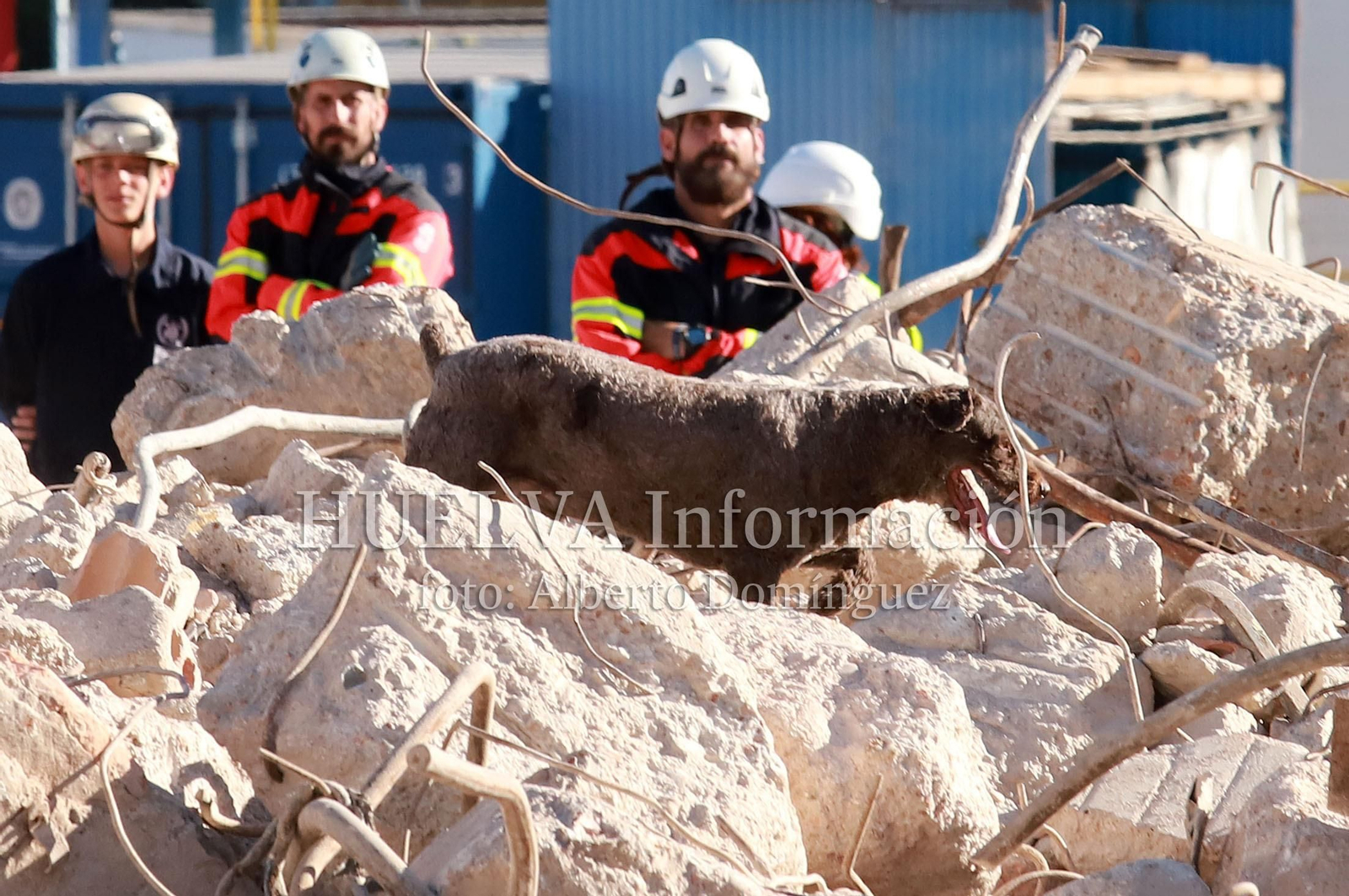 Imágenes del simulacro de los Bomberos de Huelva con la Unidad Canina