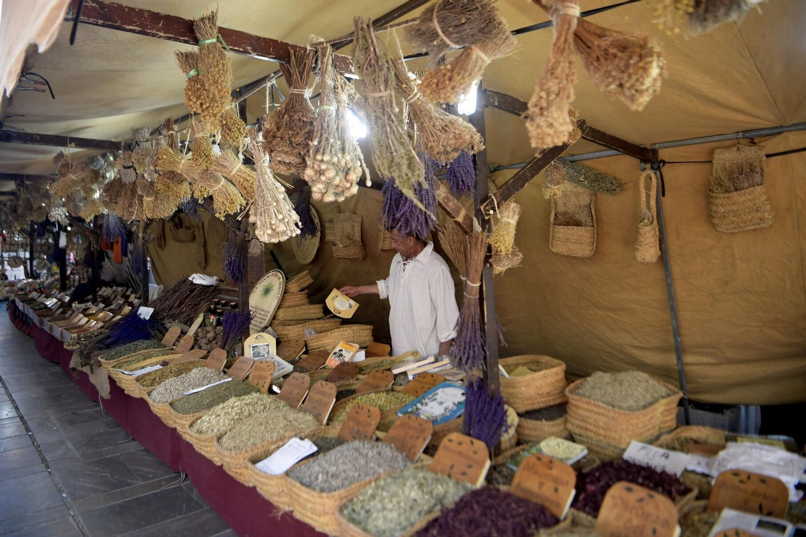 Fotos: Cristóbal Colón y los Reyes Católicos inauguran las Capitulaciones de Santa Fe