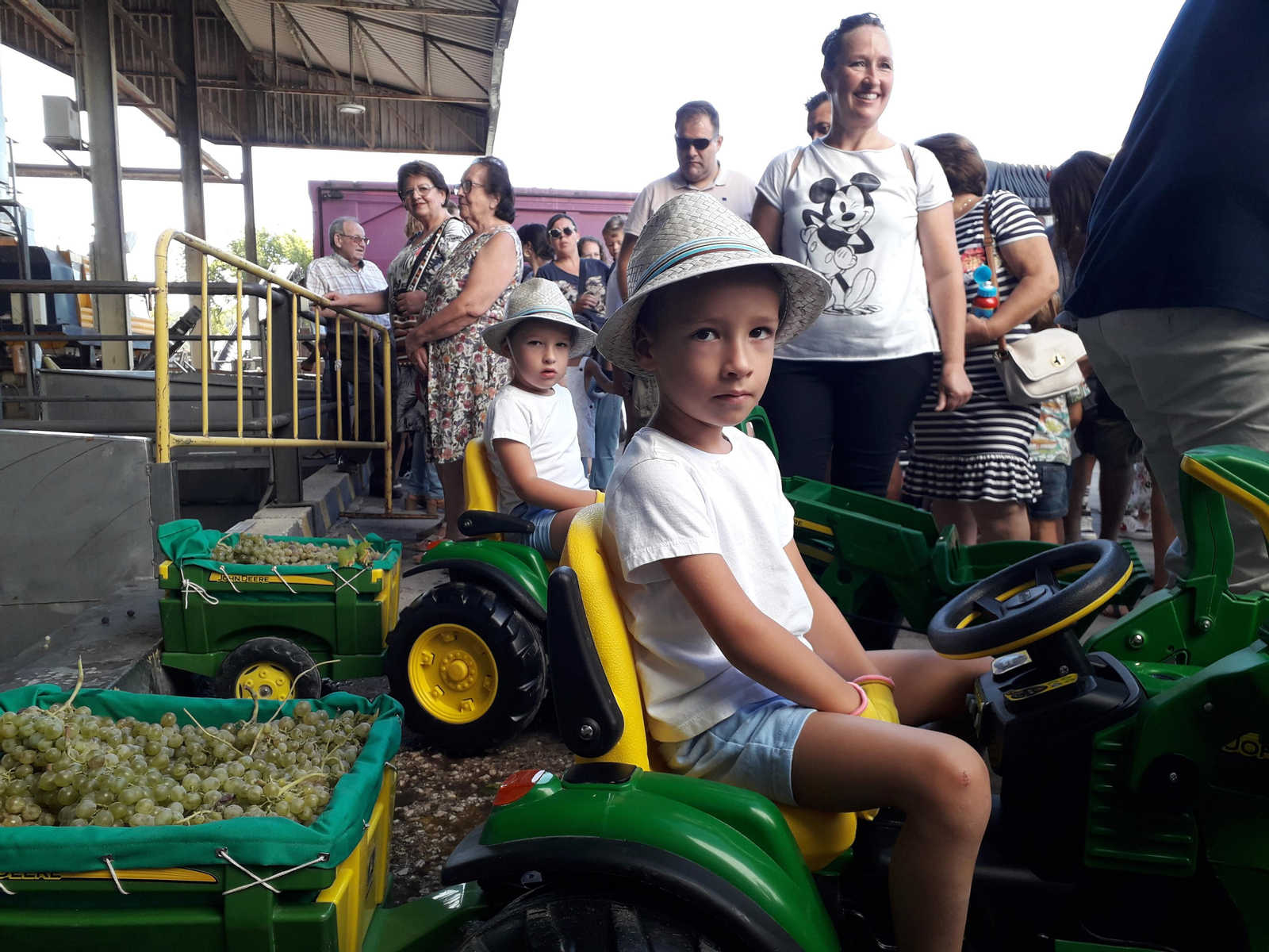 La primera vendimia infantil de Montilla, en imágenes