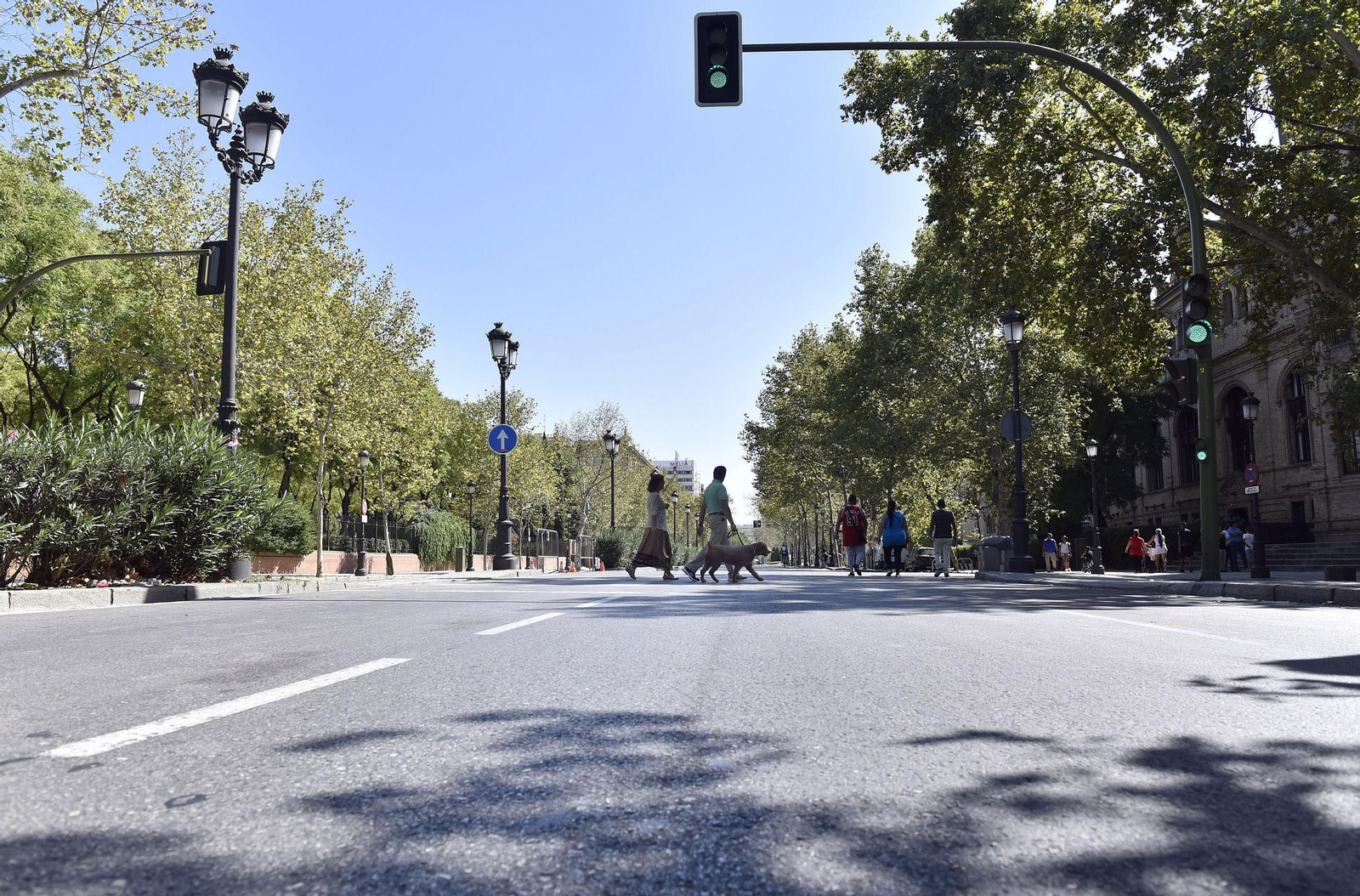 La avenida de Portugal.