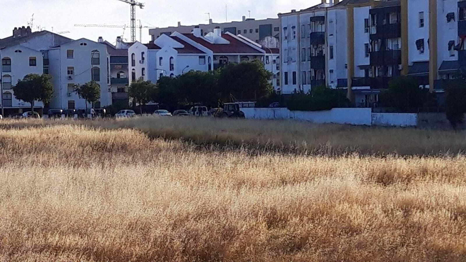 Zona de matorrales junto a viviendas en Miralbaida.