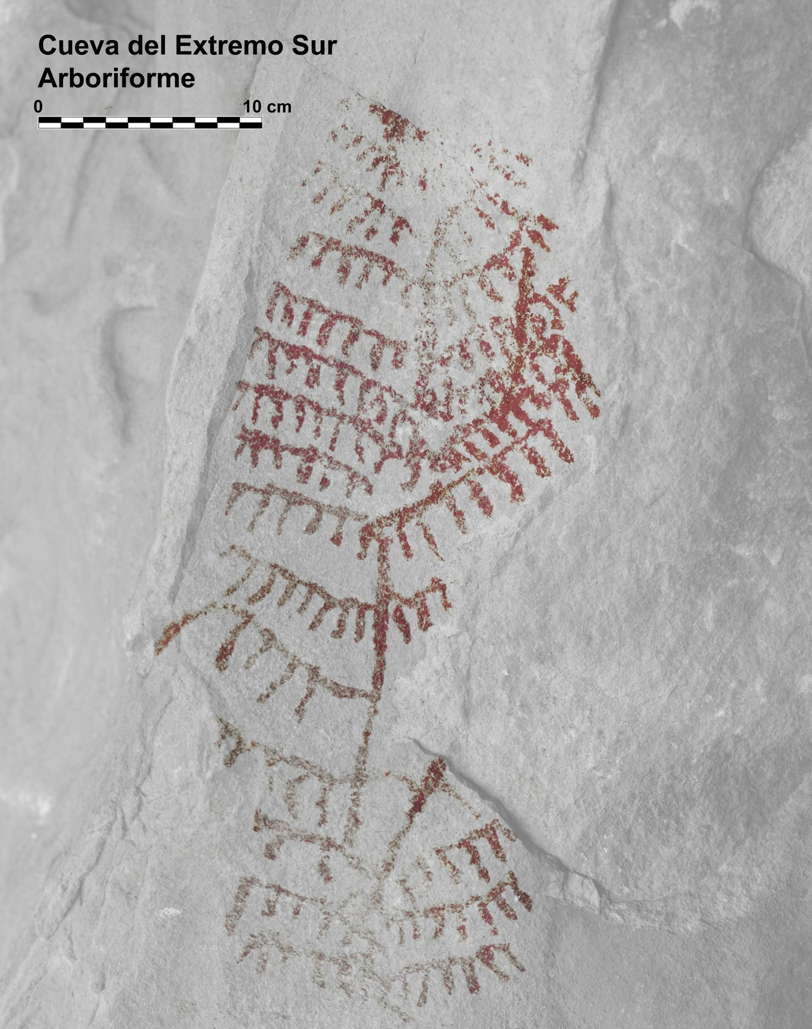 Ramiforme en el Abrigo del Extremo Sur de La Línea de la Concepción.