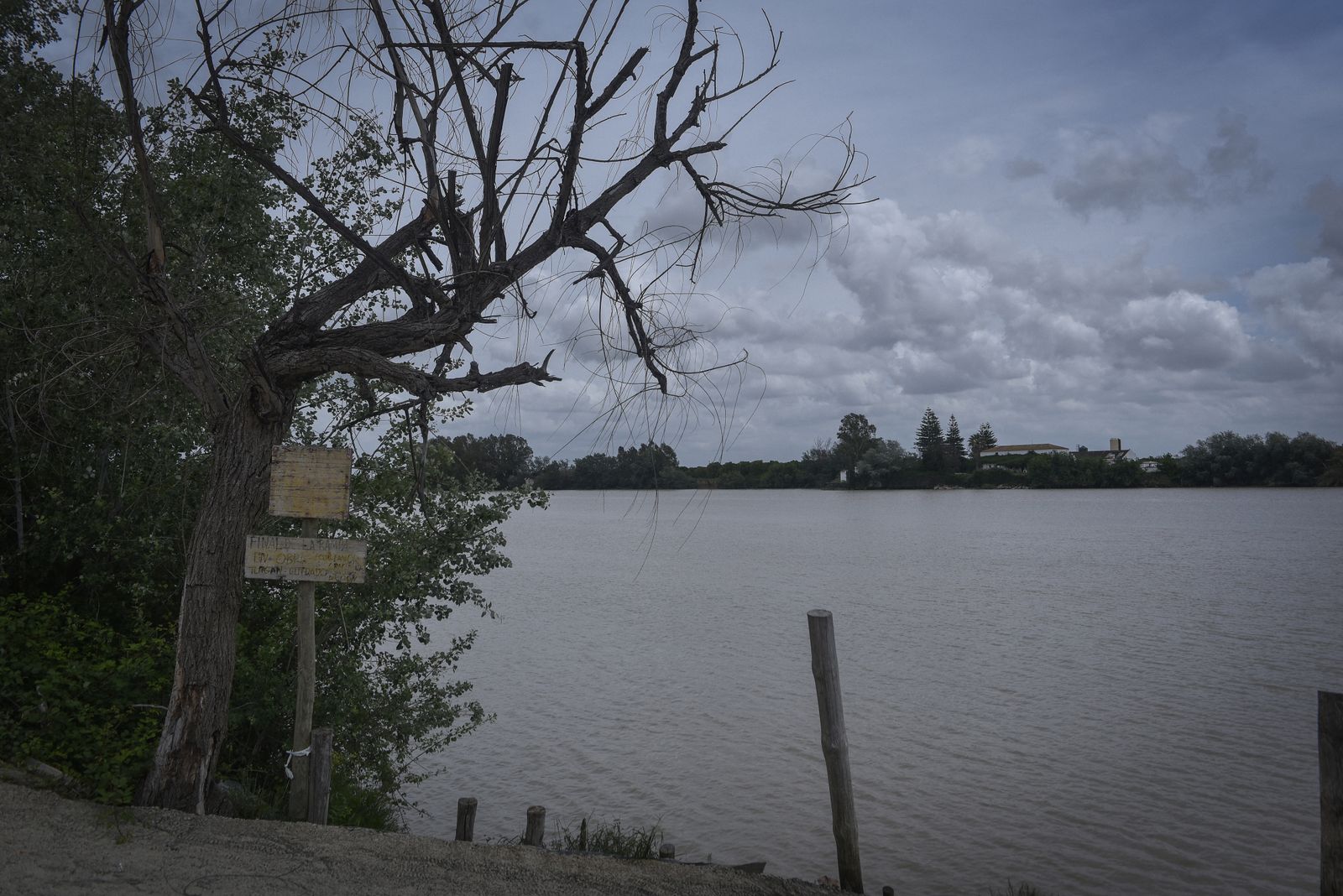 La resistencia en las calles de Sevilla Este y La puebla del Río: corazón de Sevilla y puerta de Doñana
