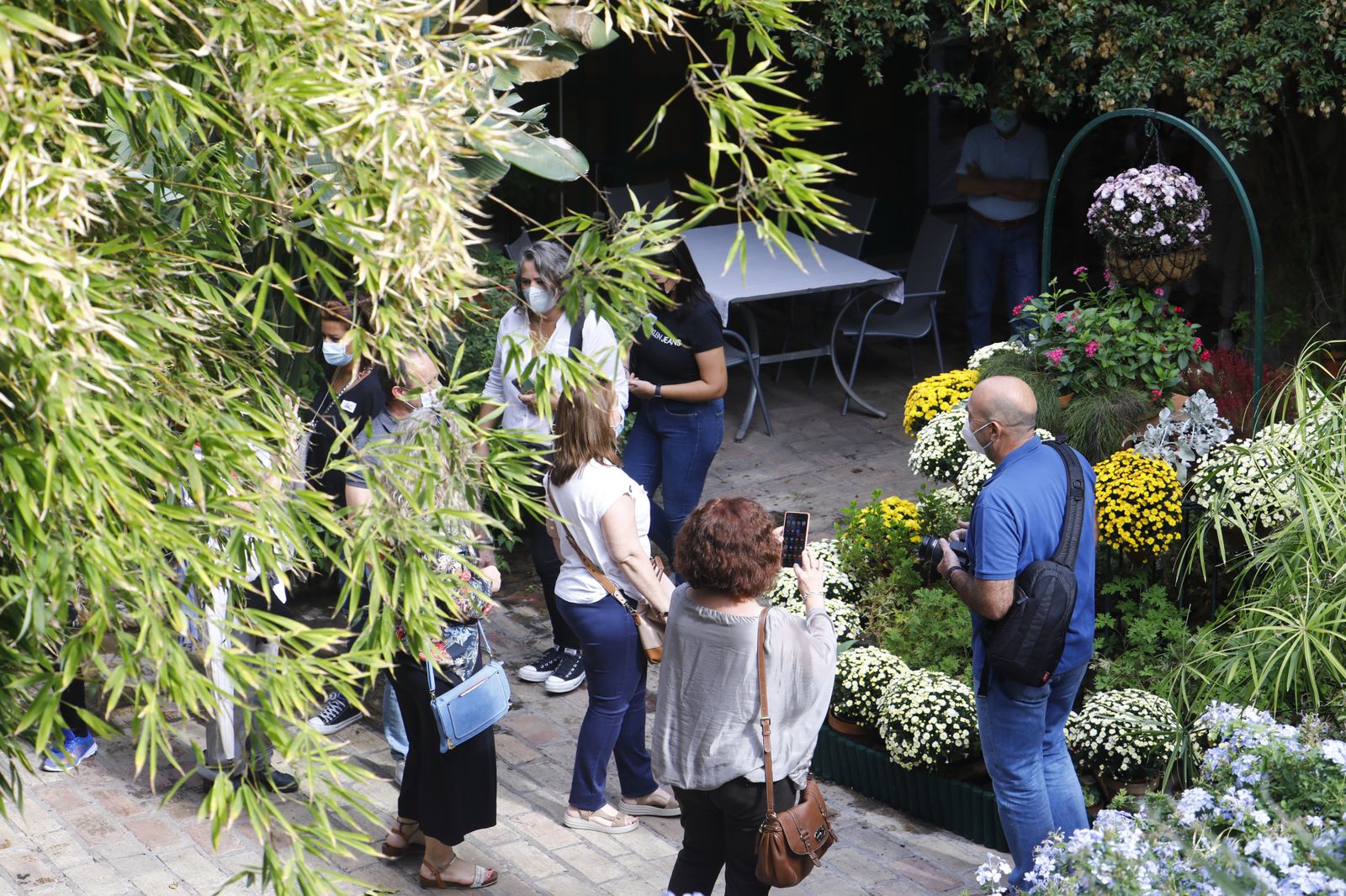 Un recorrido en fotografías por los Patios de Córdoba un domingo de otoño