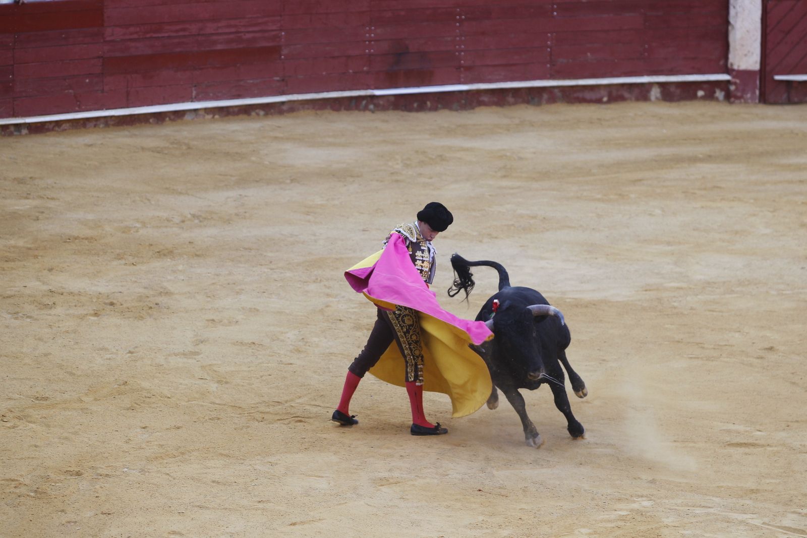 Fotogalería novillada Escuela Taurina de Almería. Feria de Almería 2019