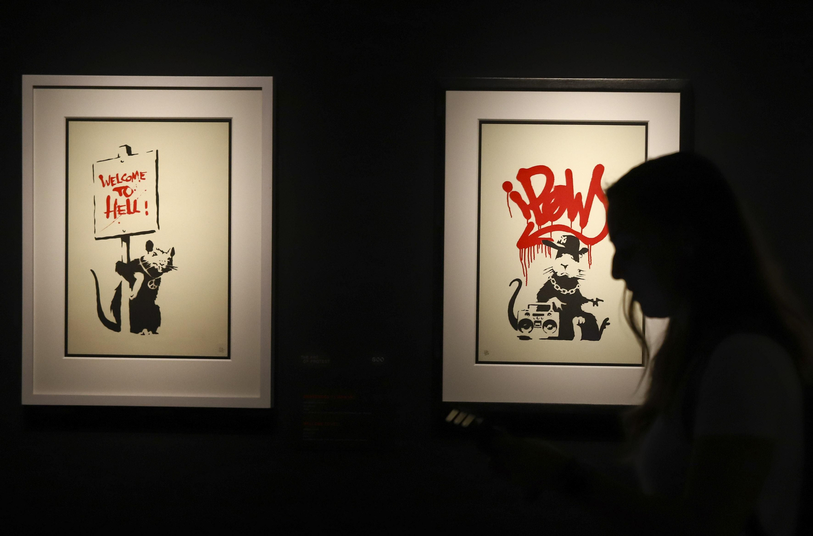 Las fotos de la exposición 'Banksy. The art of protest' en La Térmica, en Málaga