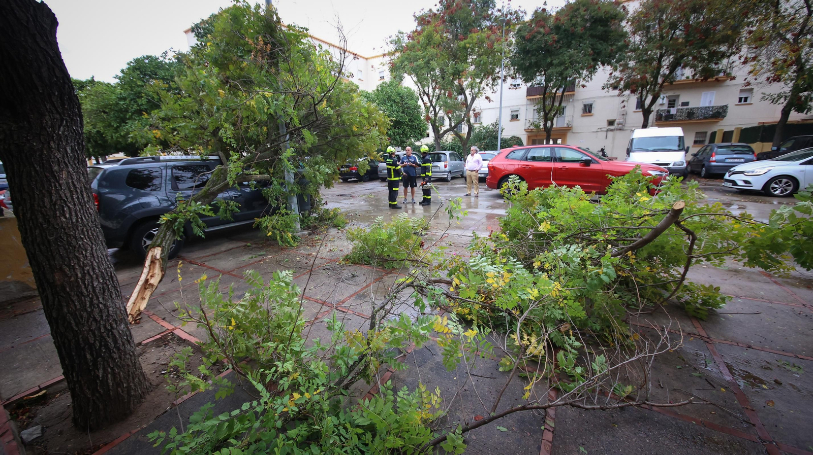 Inundaciones y destrozos en Jerez por el temporal