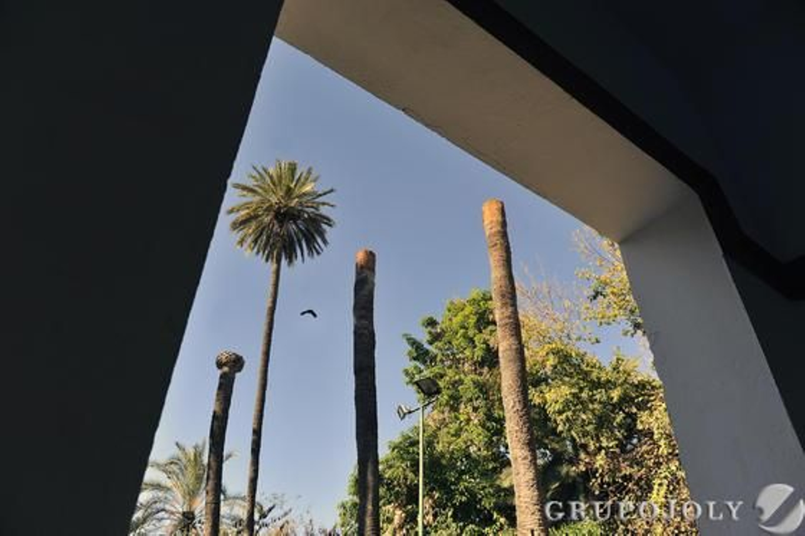 Foto: Juan Carlos Vázquez