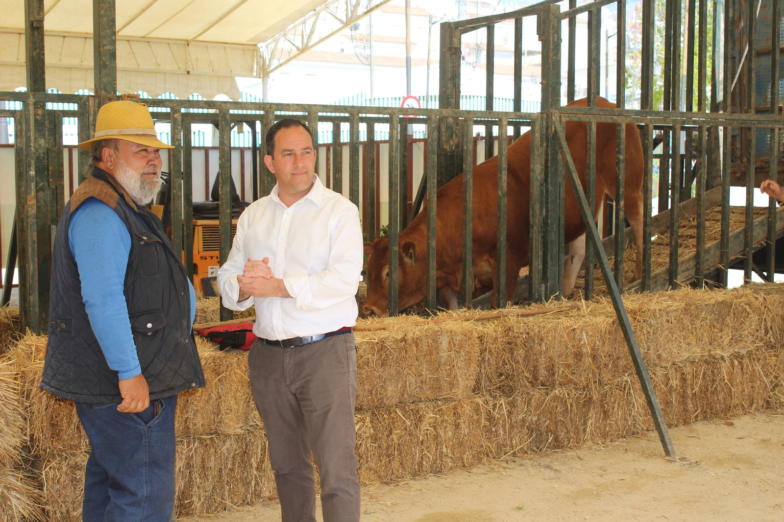 Jueves de feria de Vejer, en imágenes
