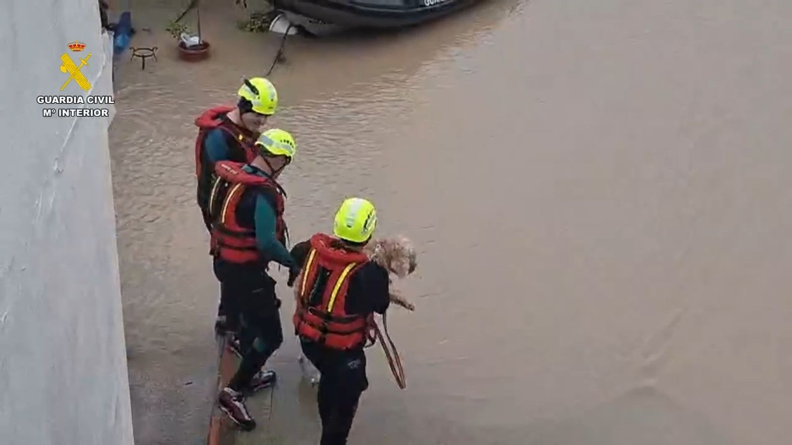 La Guardia Civil rescata a varias mascotas de viviendas inundadas en Jerez por la crecida del río Guadalete