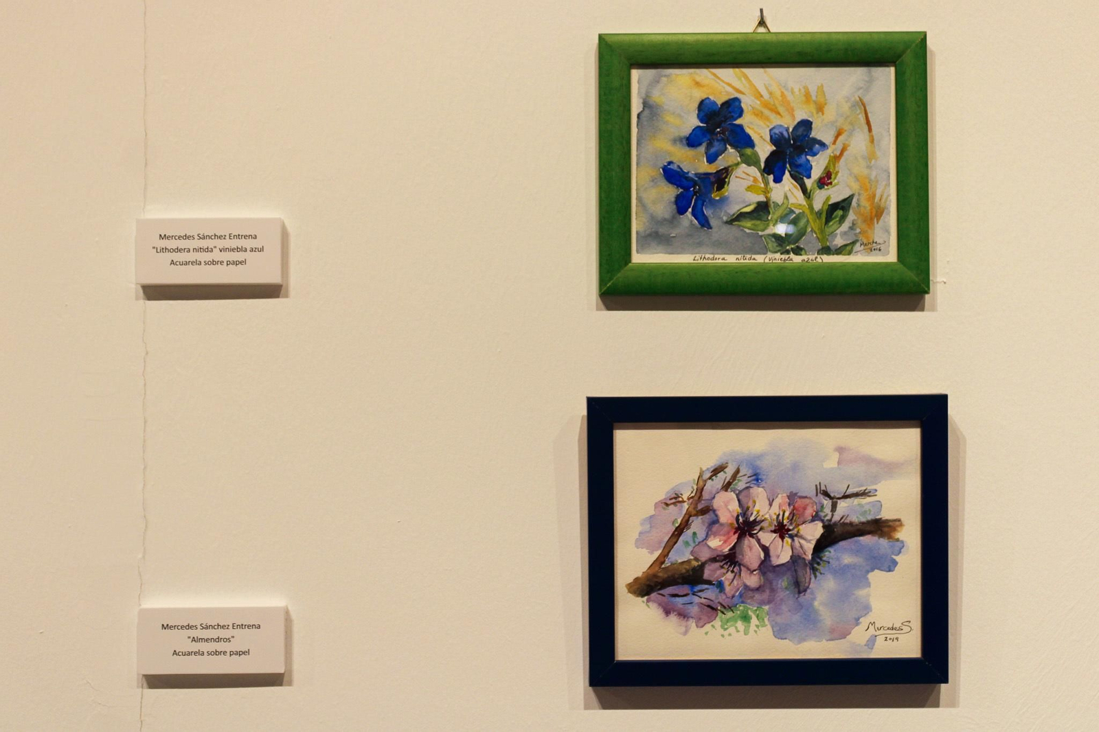 La II Bienal Artistas de la Tribu en el Teatro Cómico de Córdoba, en imágenes